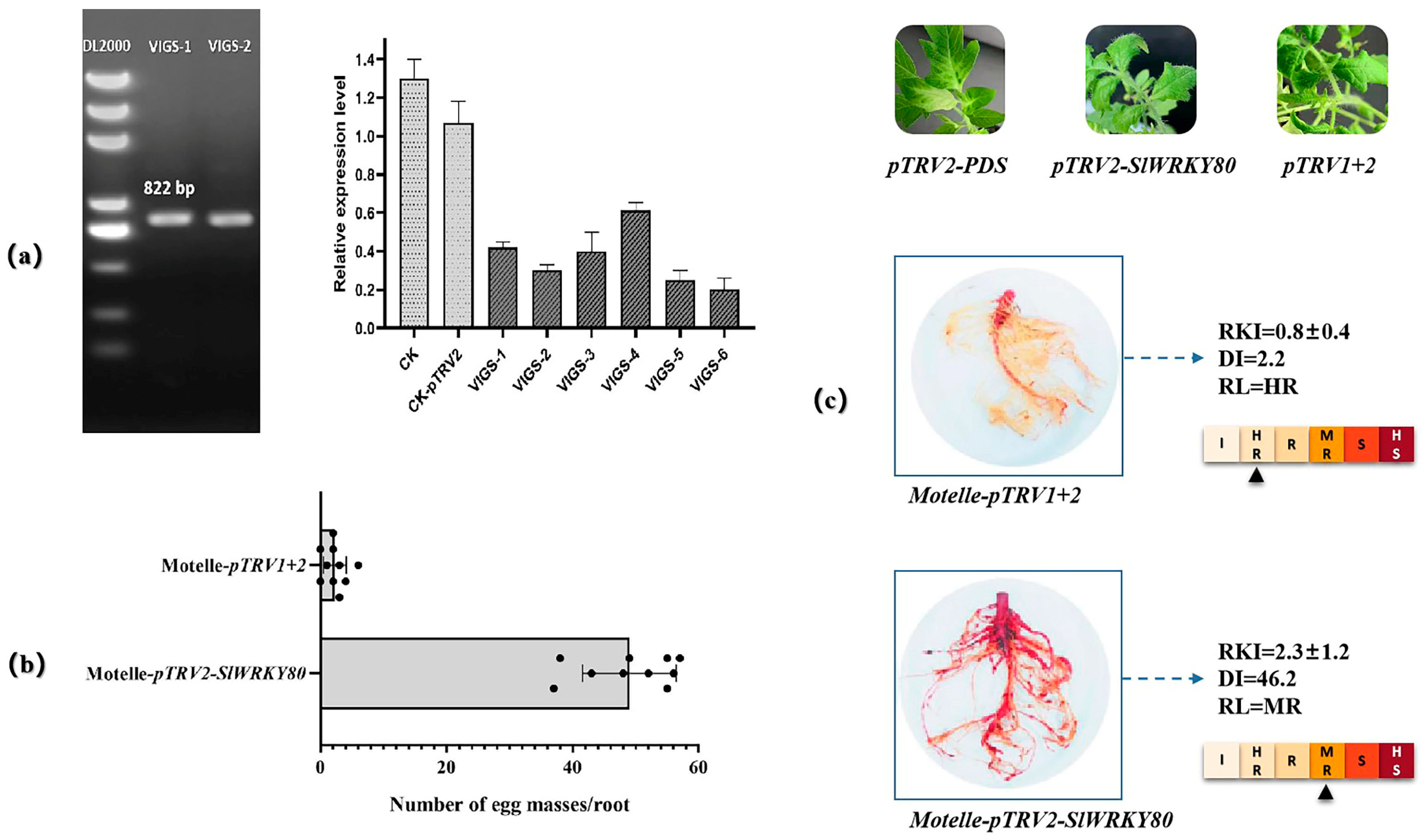 Plants 12 02416 g009