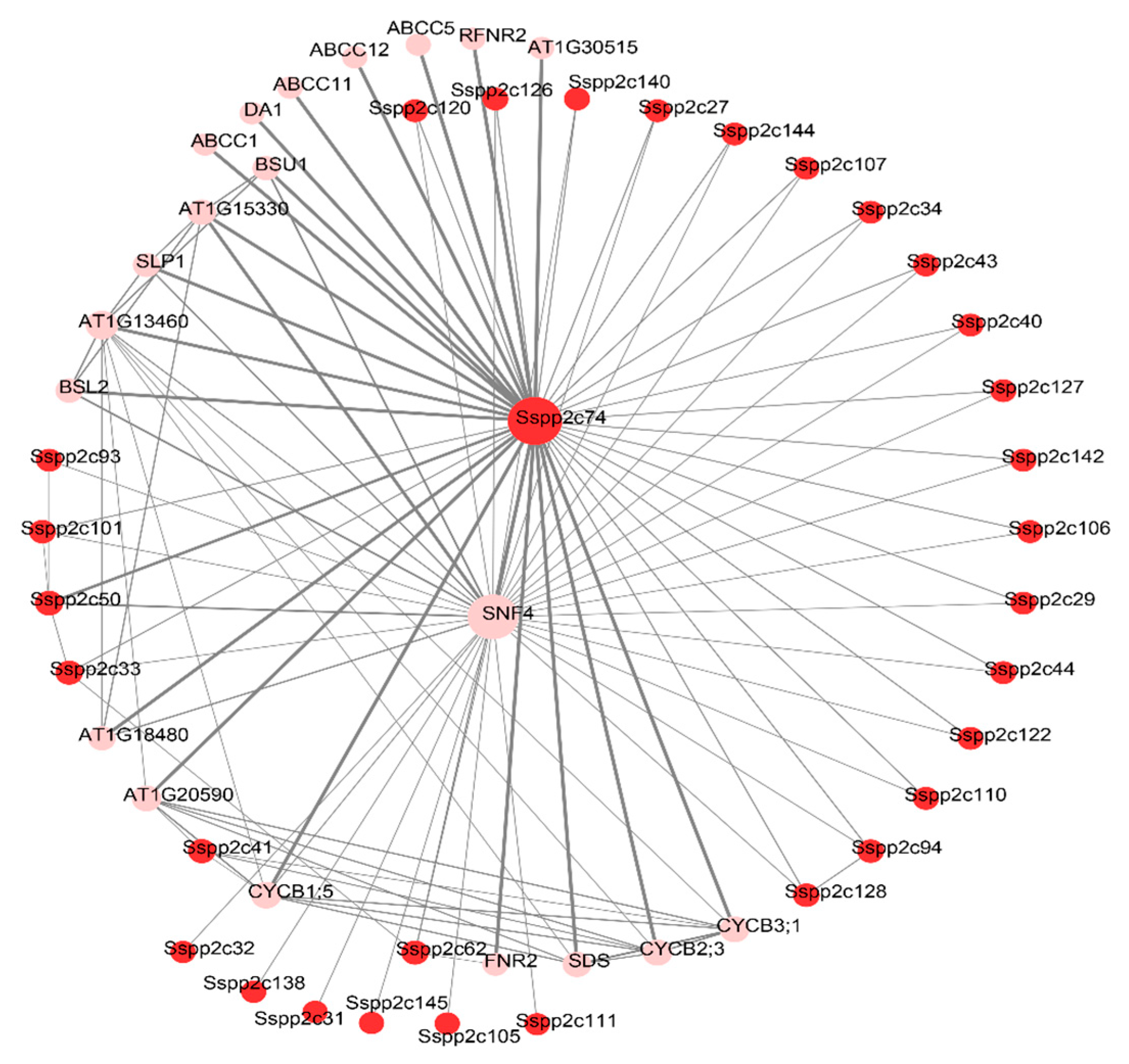Plants 12 02418 g008