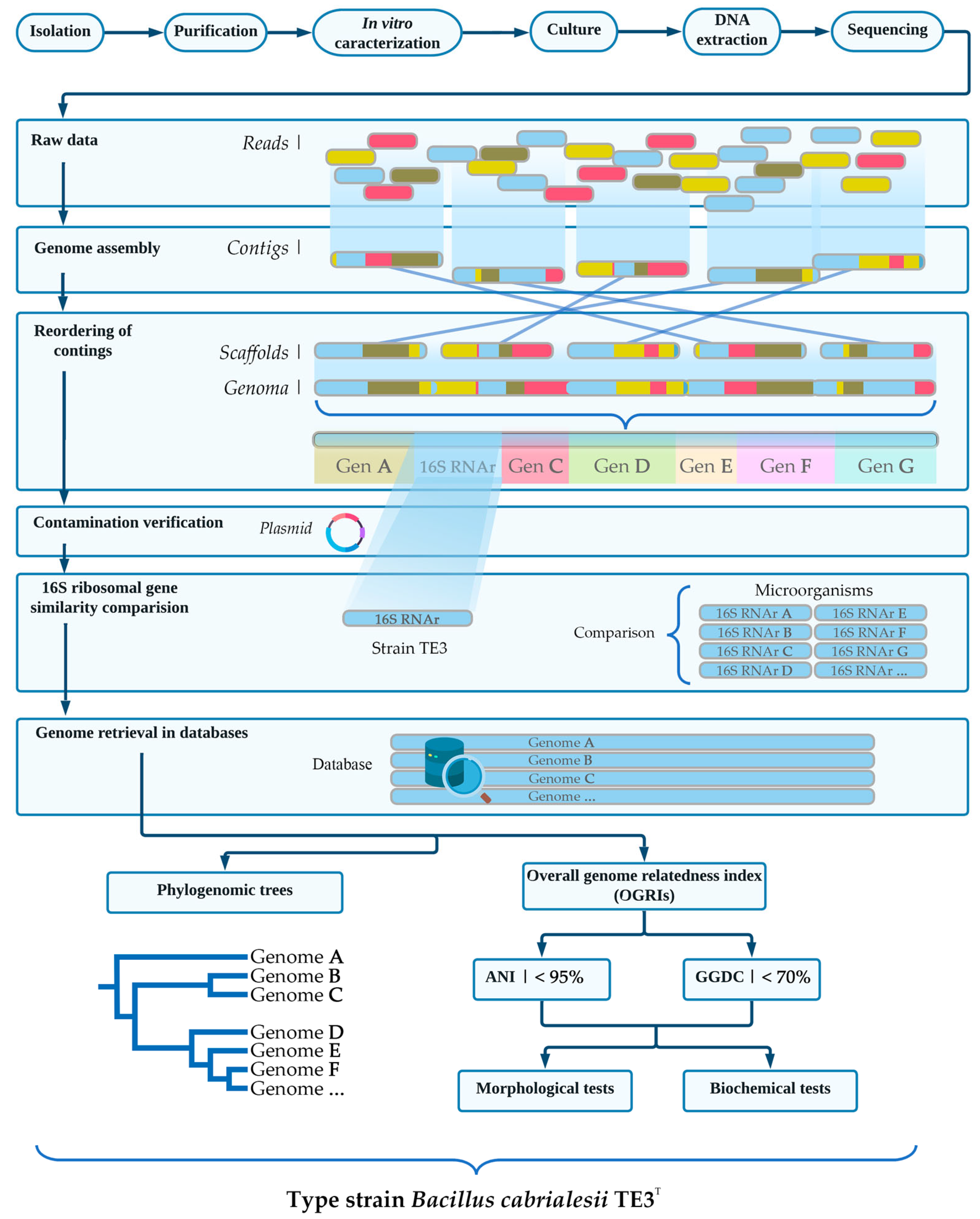 Plants 12 02419 g003 Plants 12 02419 g003