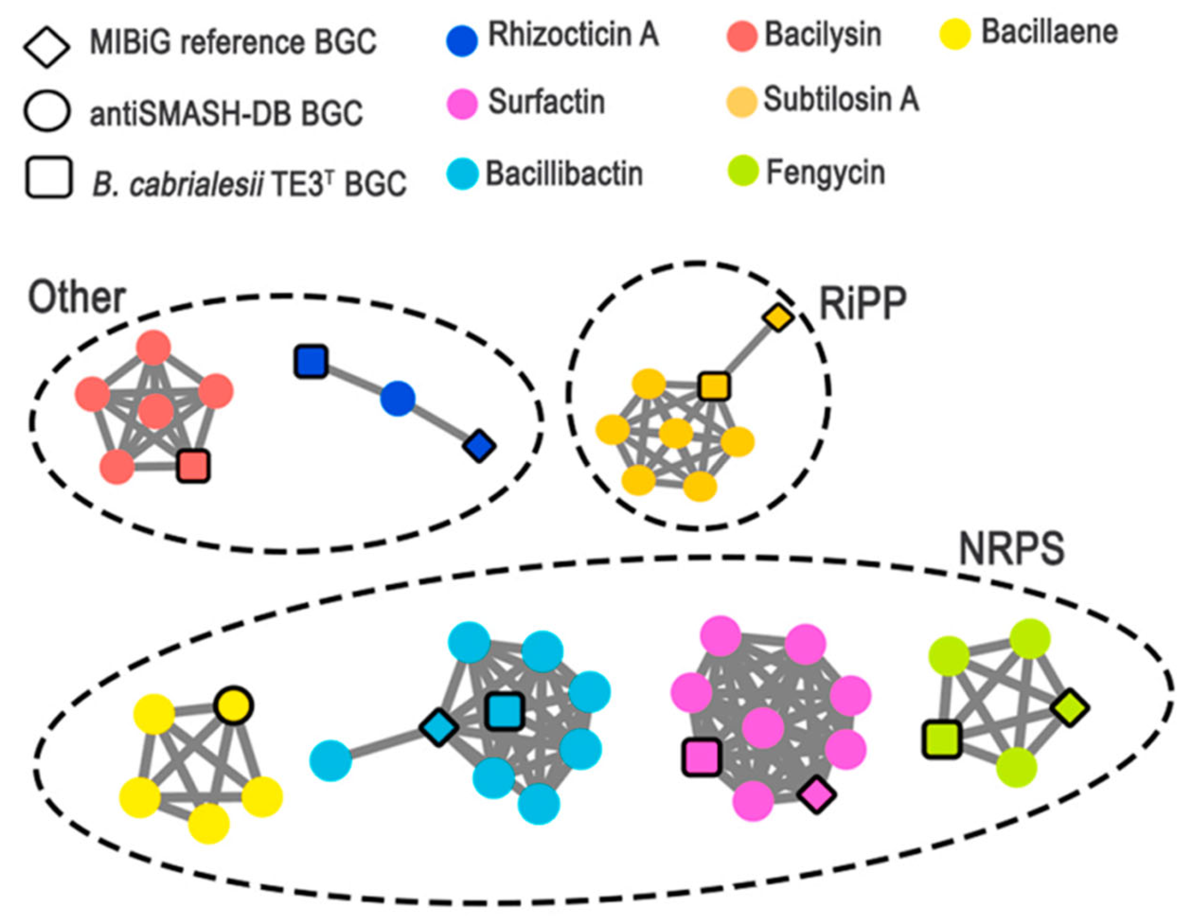 Plants 12 02419 g005 Plants 12 02419 g005