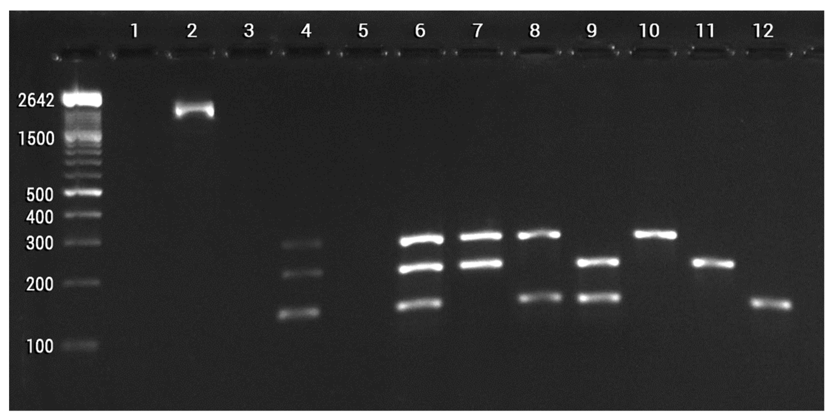 Plants 12 02419 g007 Plants 12 02419 g007