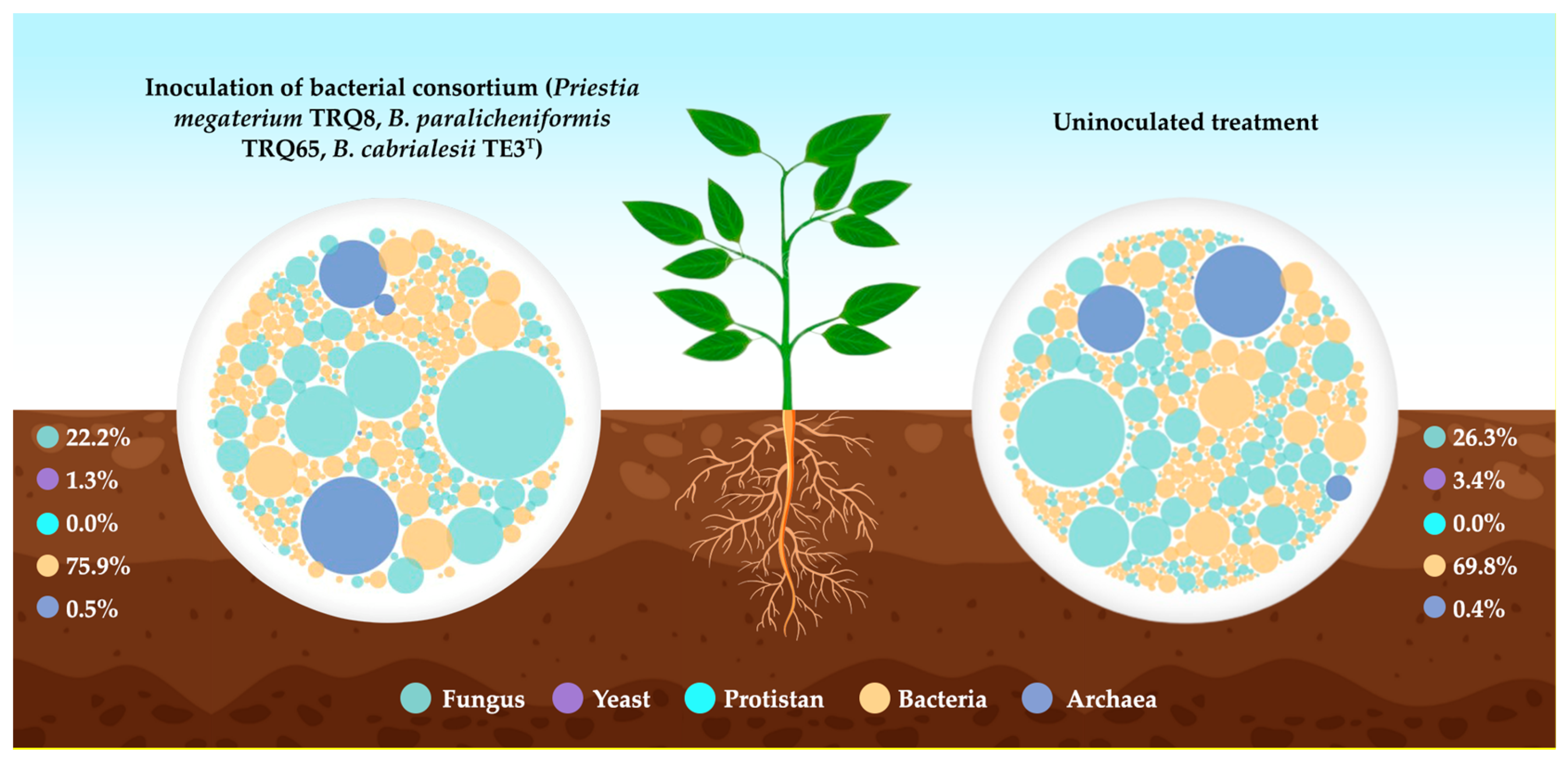 Plants 12 02419 g011 Plants 12 02419 g011