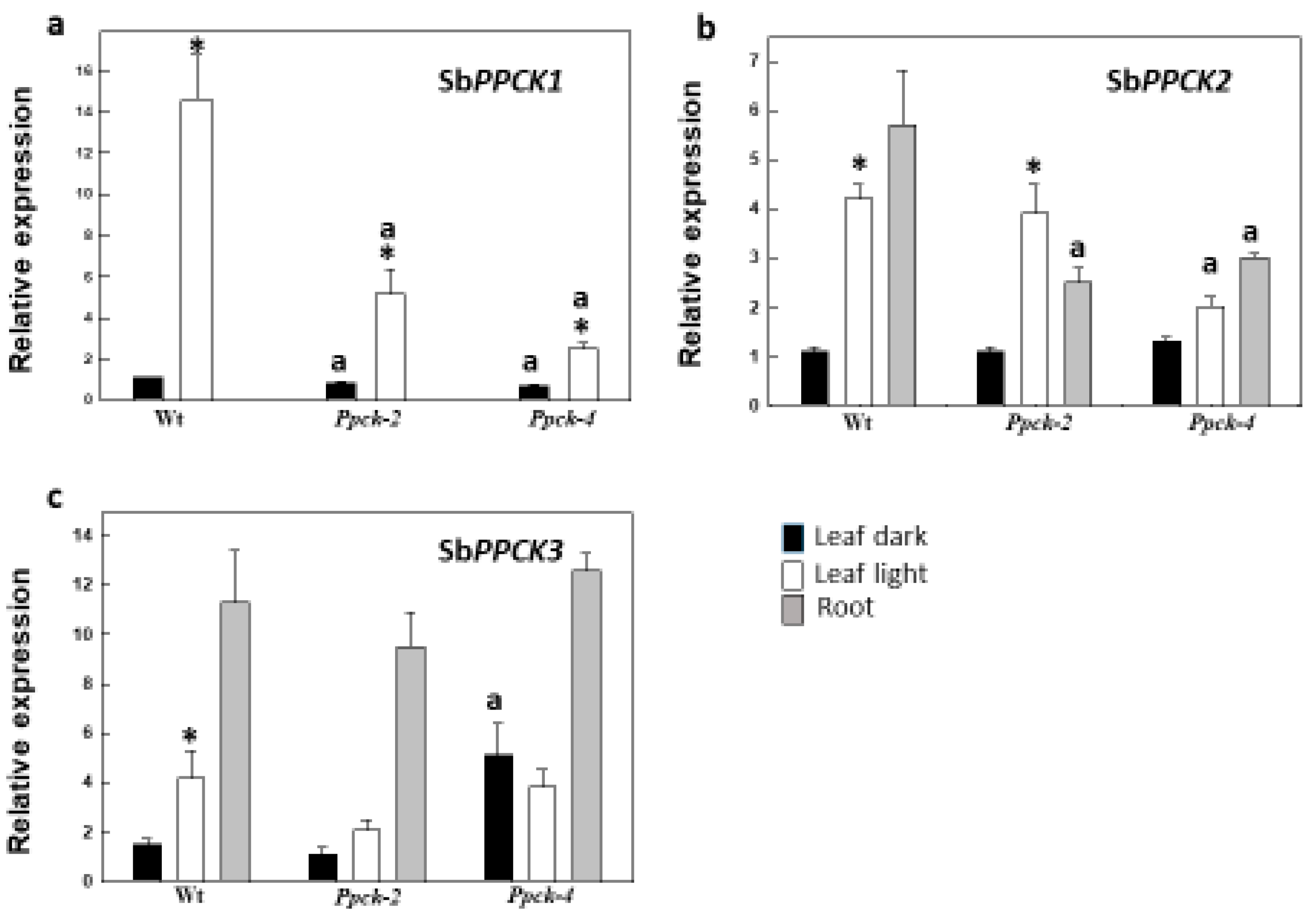 Plants 12 02426 g001