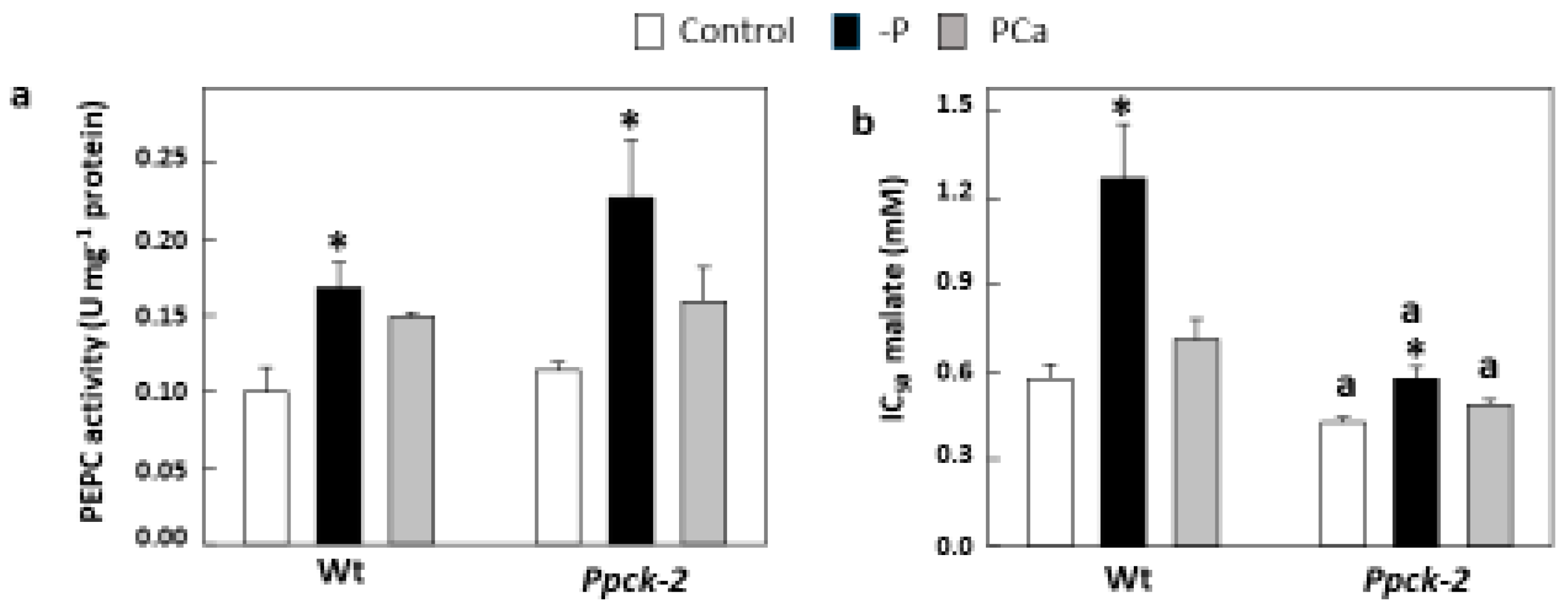 Plants 12 02426 g003