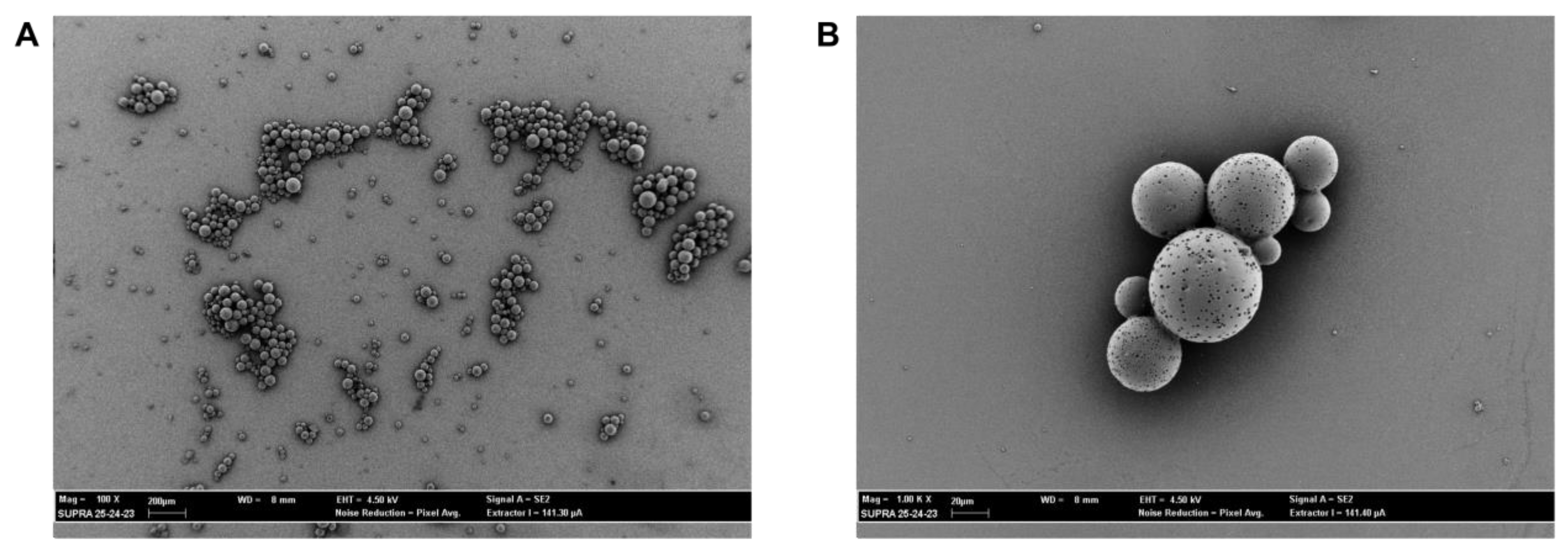 Plants 12 02437 g002