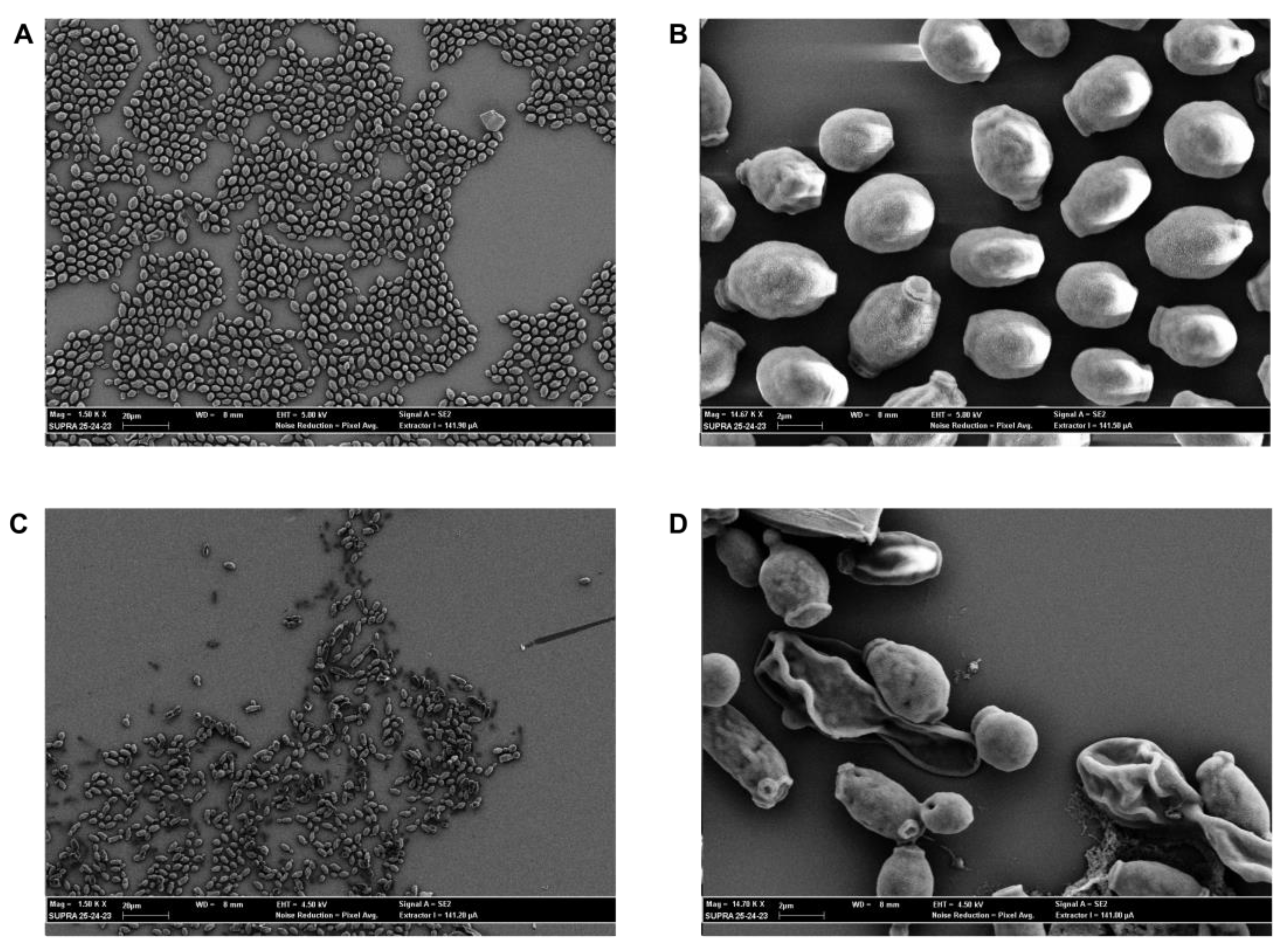 Plants 12 02437 g006