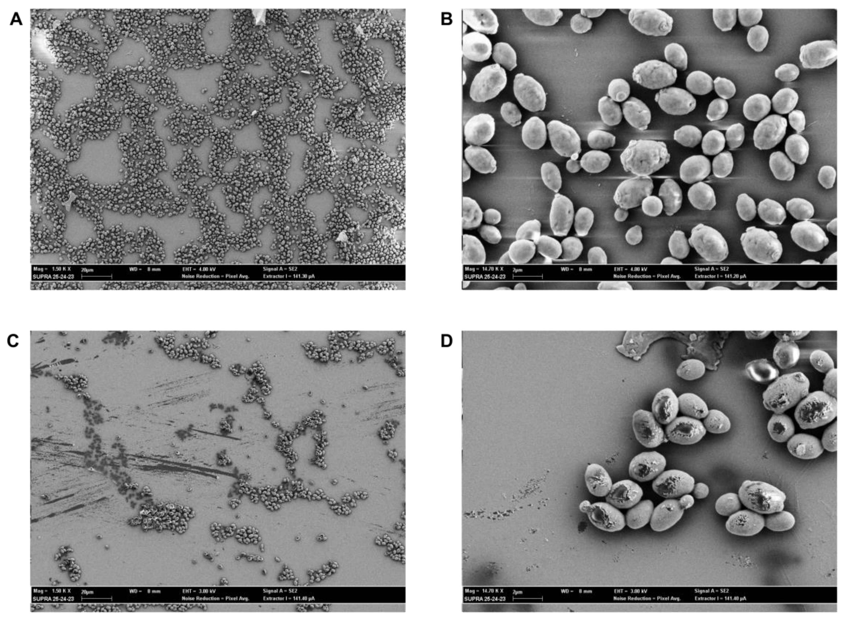 Plants 12 02437 g007