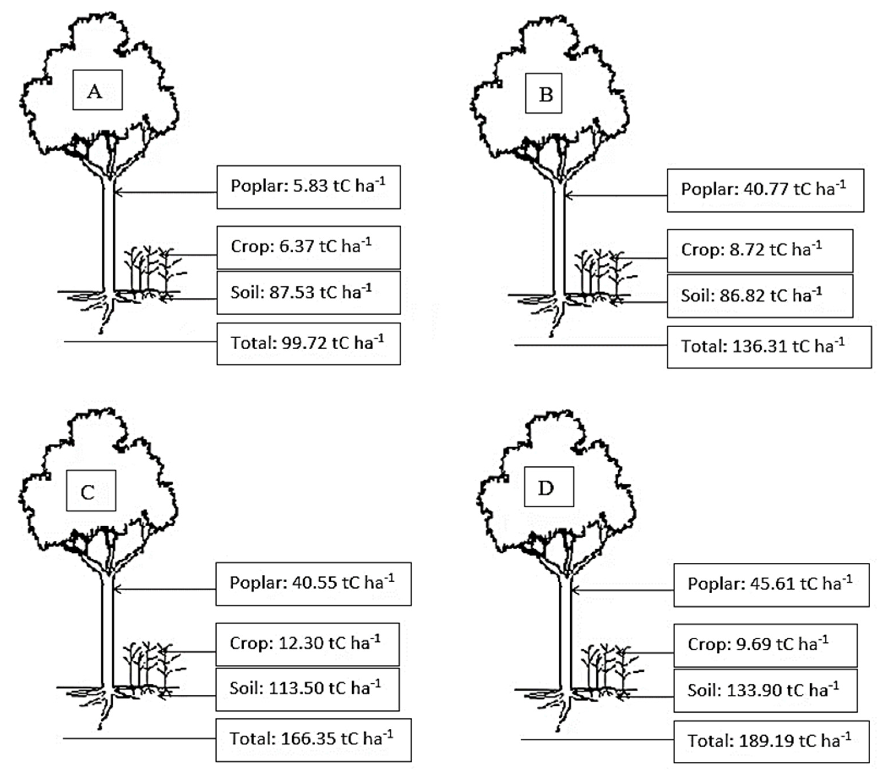 Plants 12 02451 g003 Plants 12 02451 g003