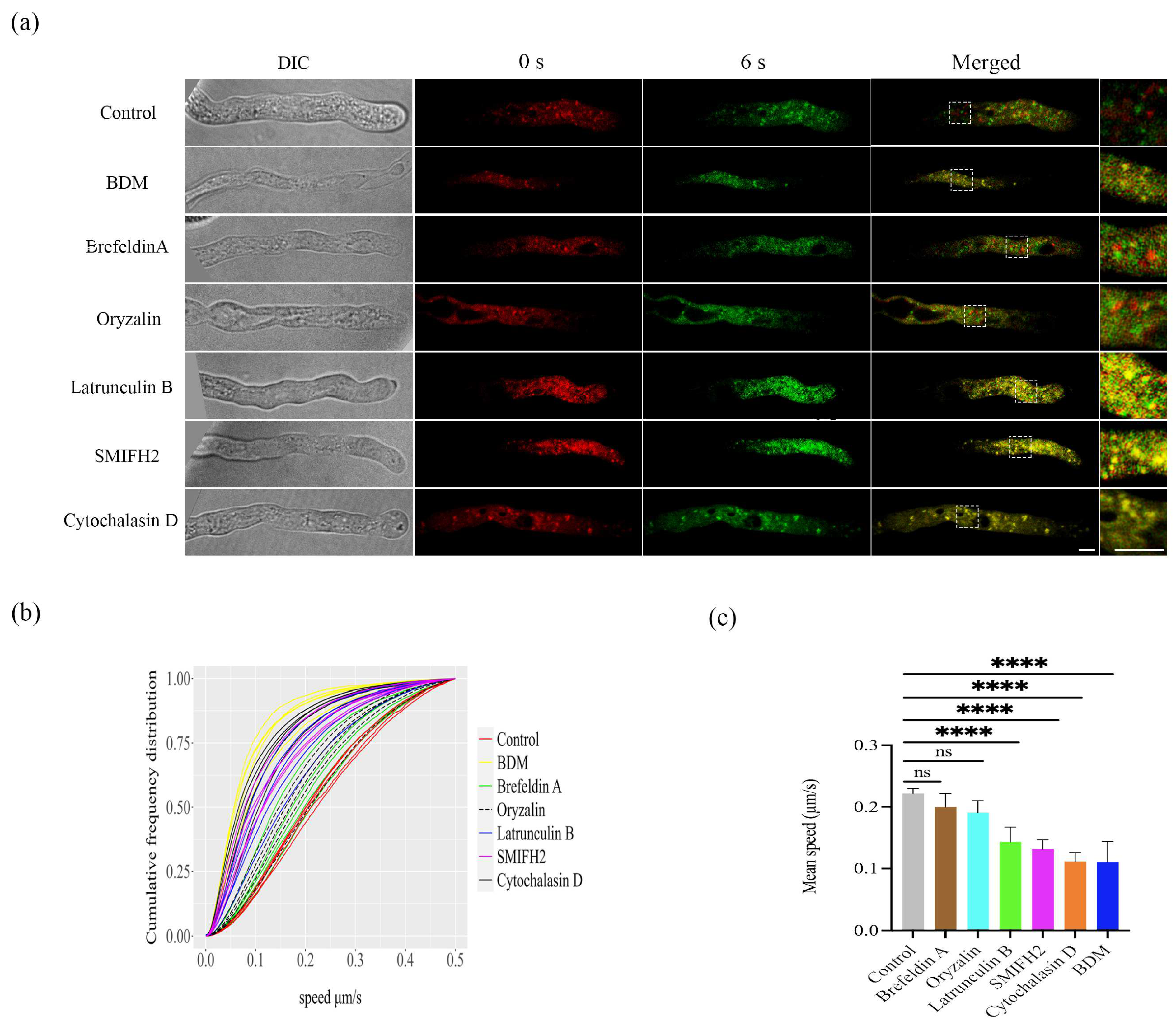 Plants 12 02489 g001