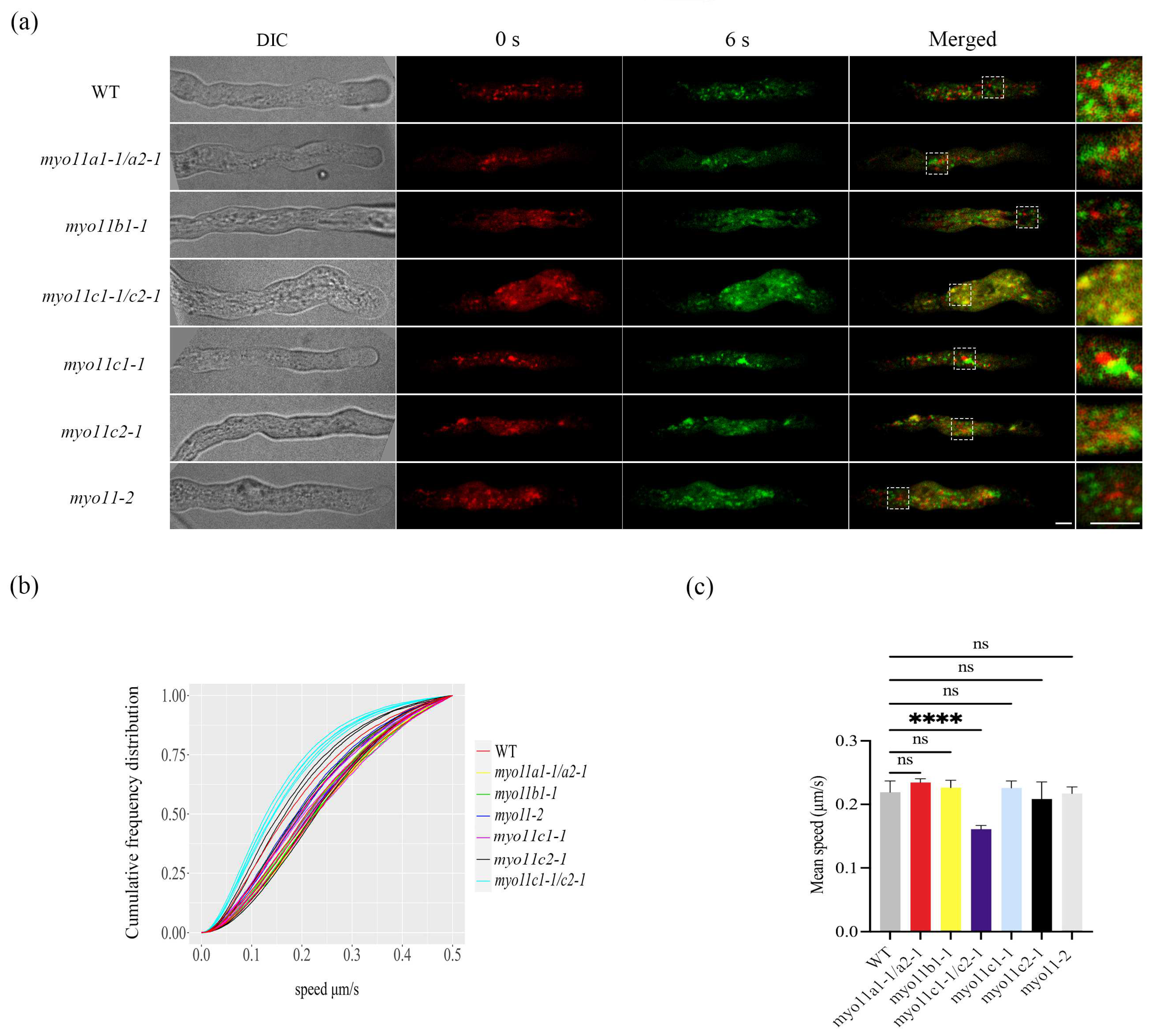 Plants 12 02489 g002
