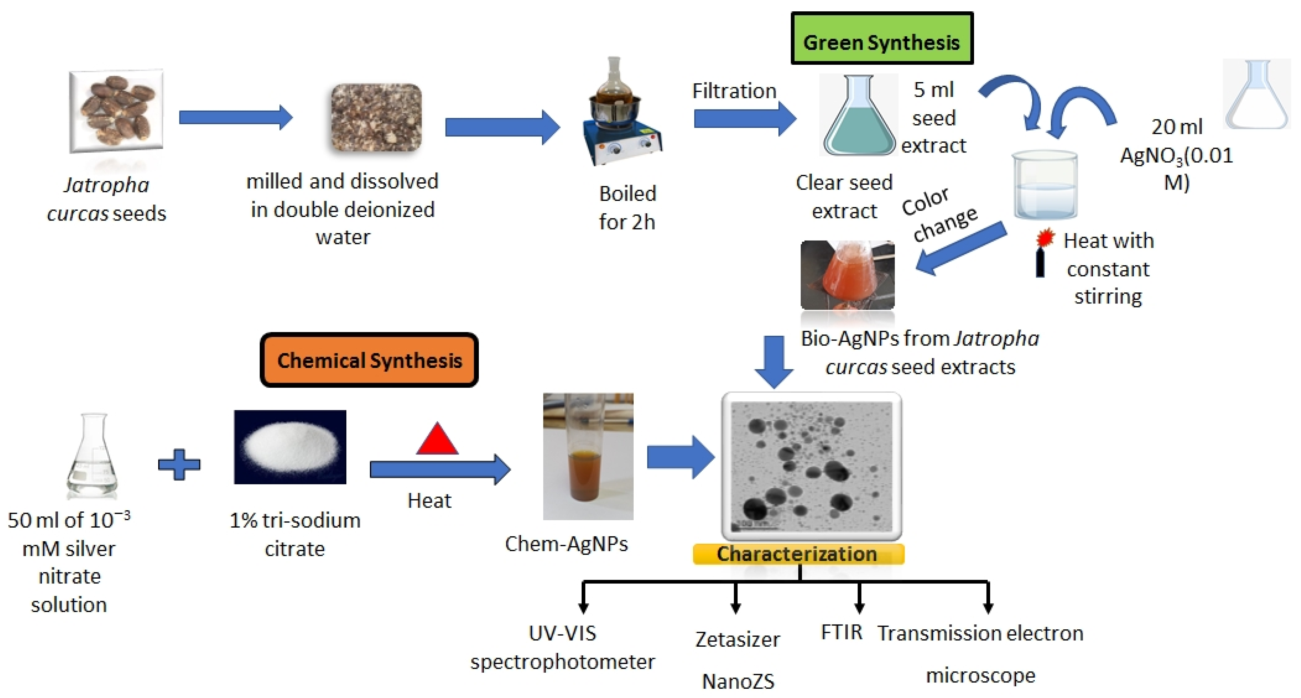 Plants 12 02509 g006 Plants 12 02509 g006