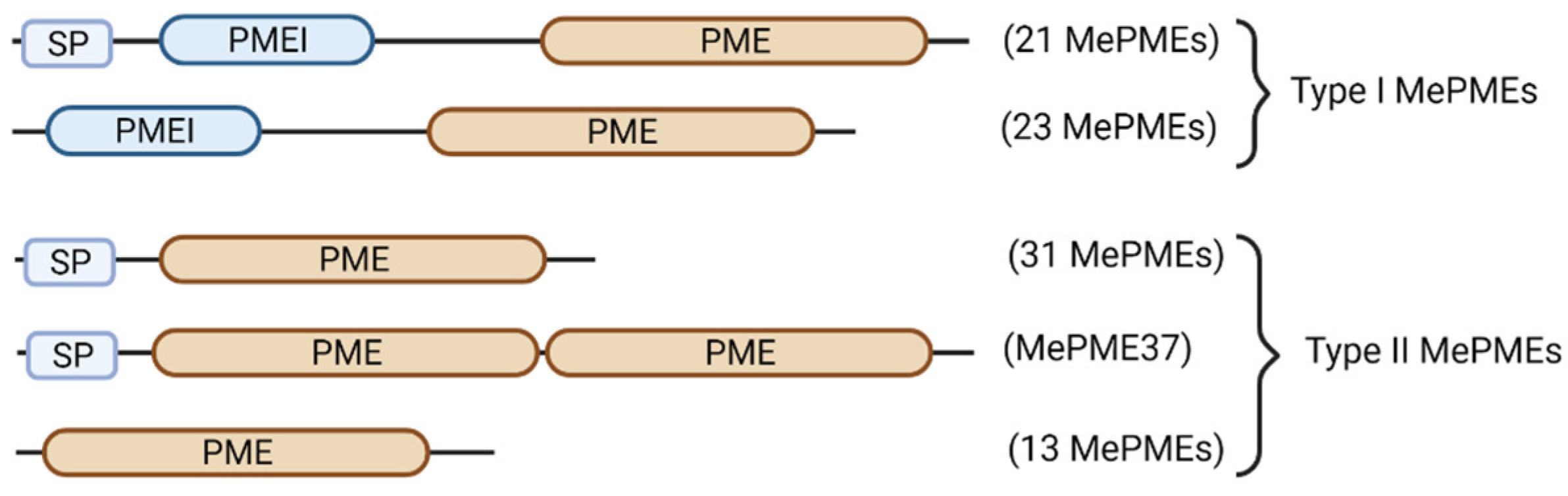 Plants 12 02529 g005
