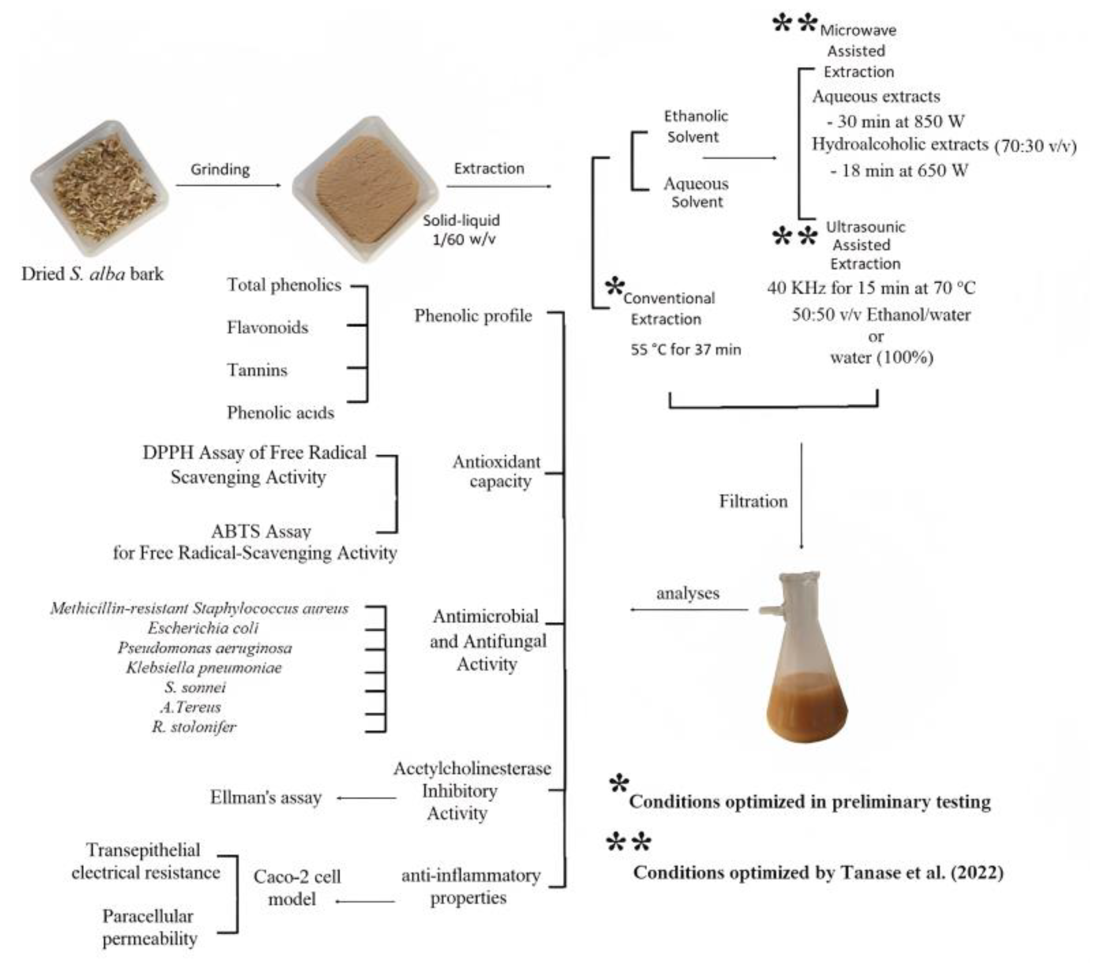 Plants 12 02533 g005