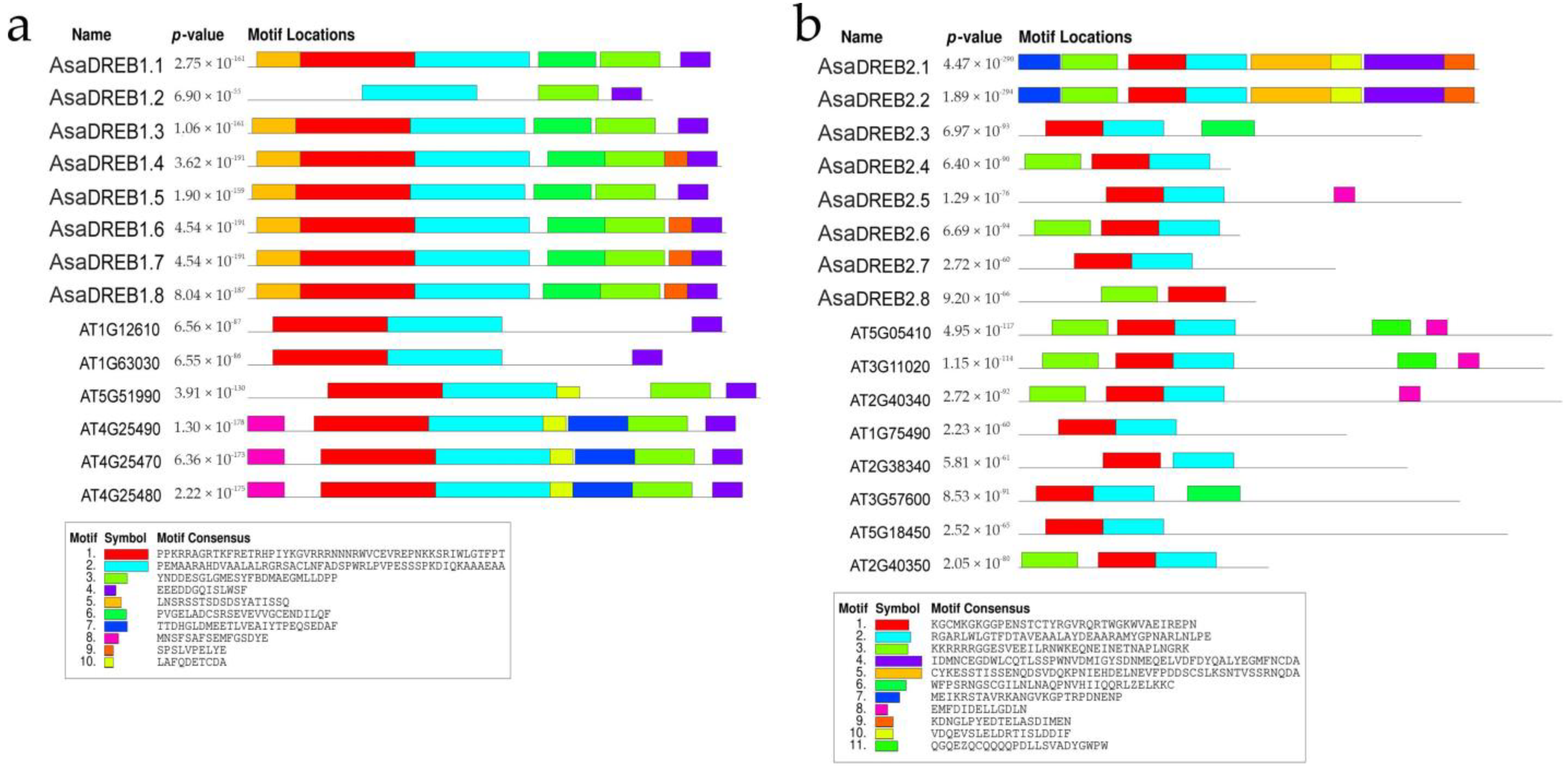 Plants 12 02538 g003