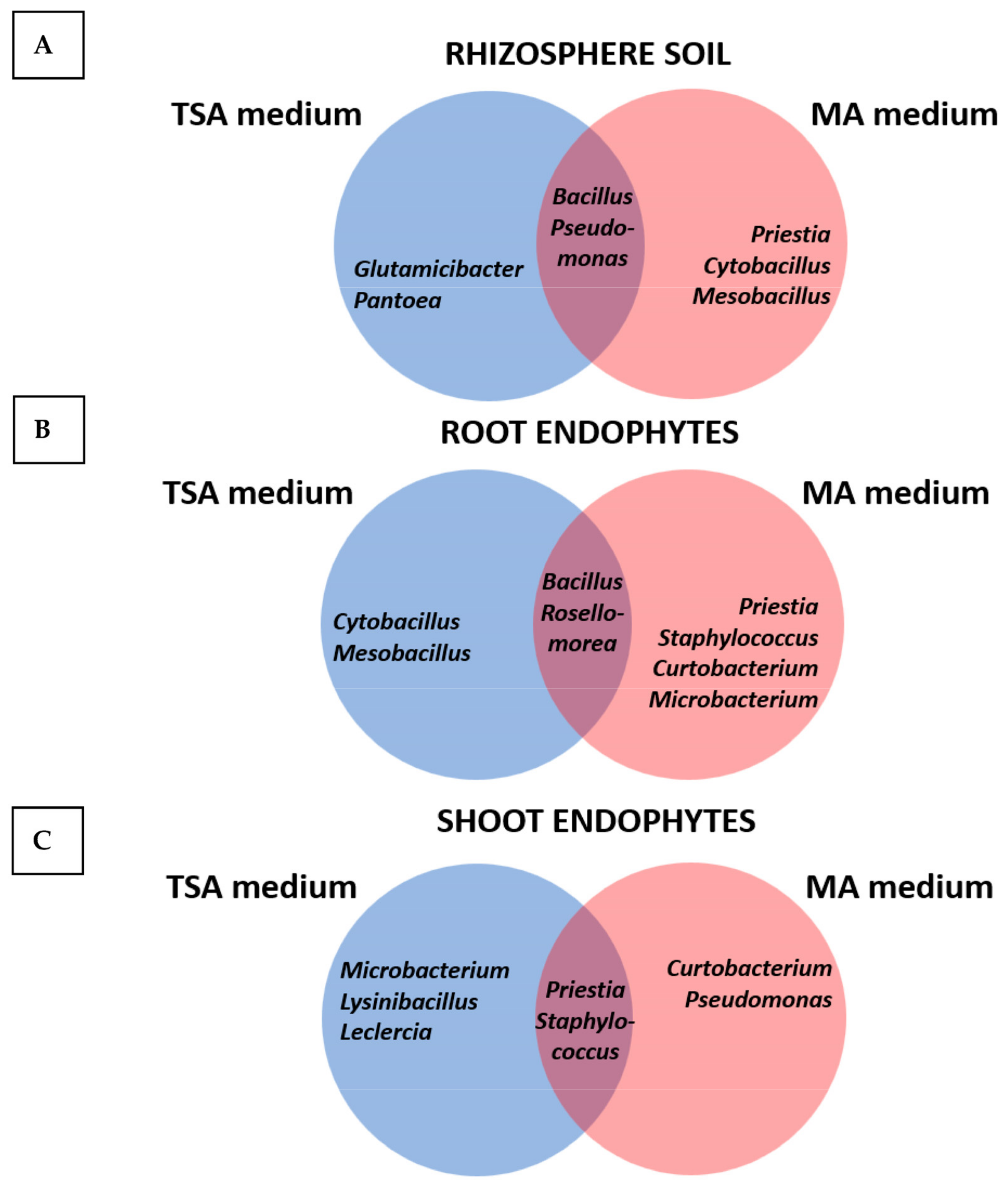 Plants 12 02545 g001 Plants 12 02545 g001