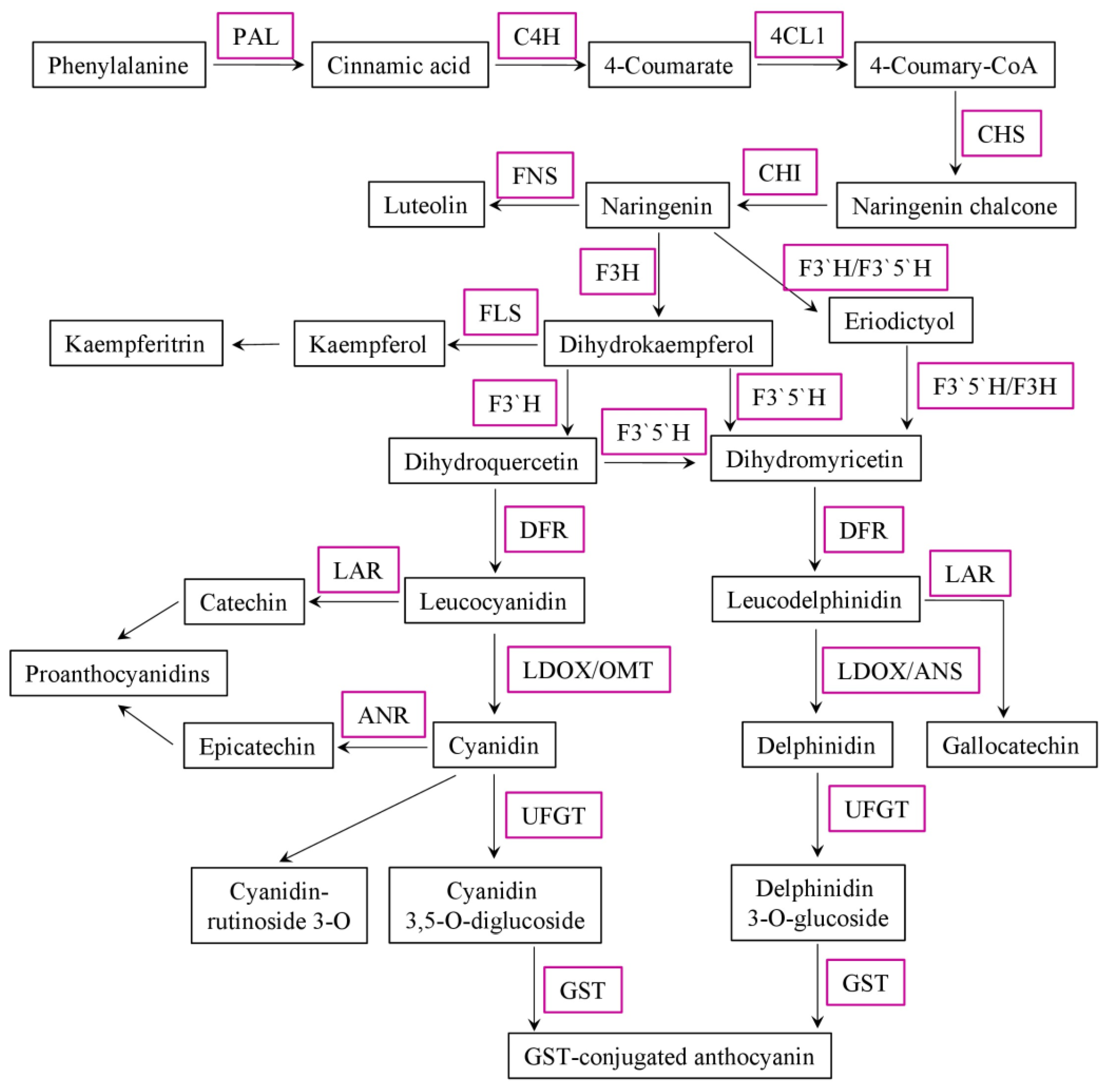 Plants 12 02558 g001 Plants 12 02558 g001