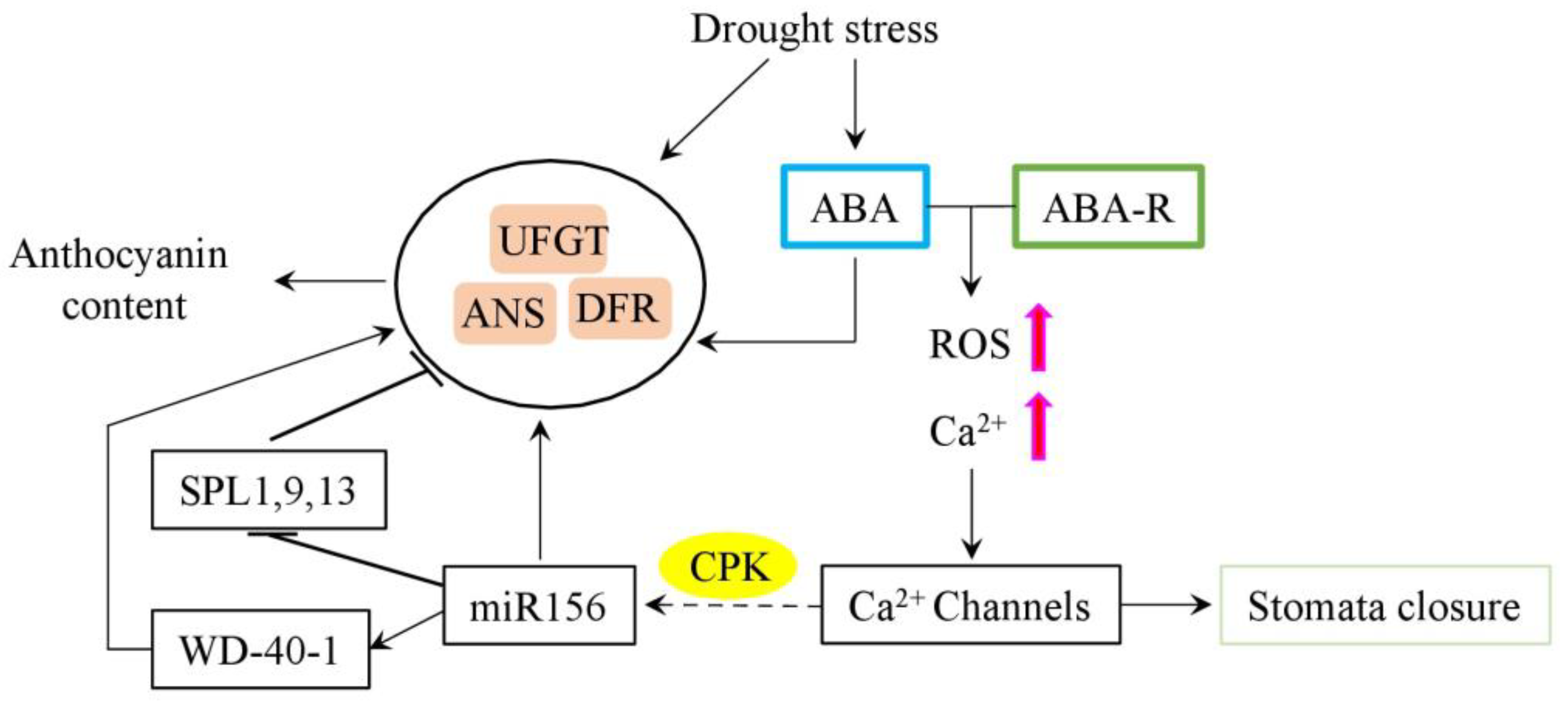 Plants 12 02558 g002 Plants 12 02558 g002