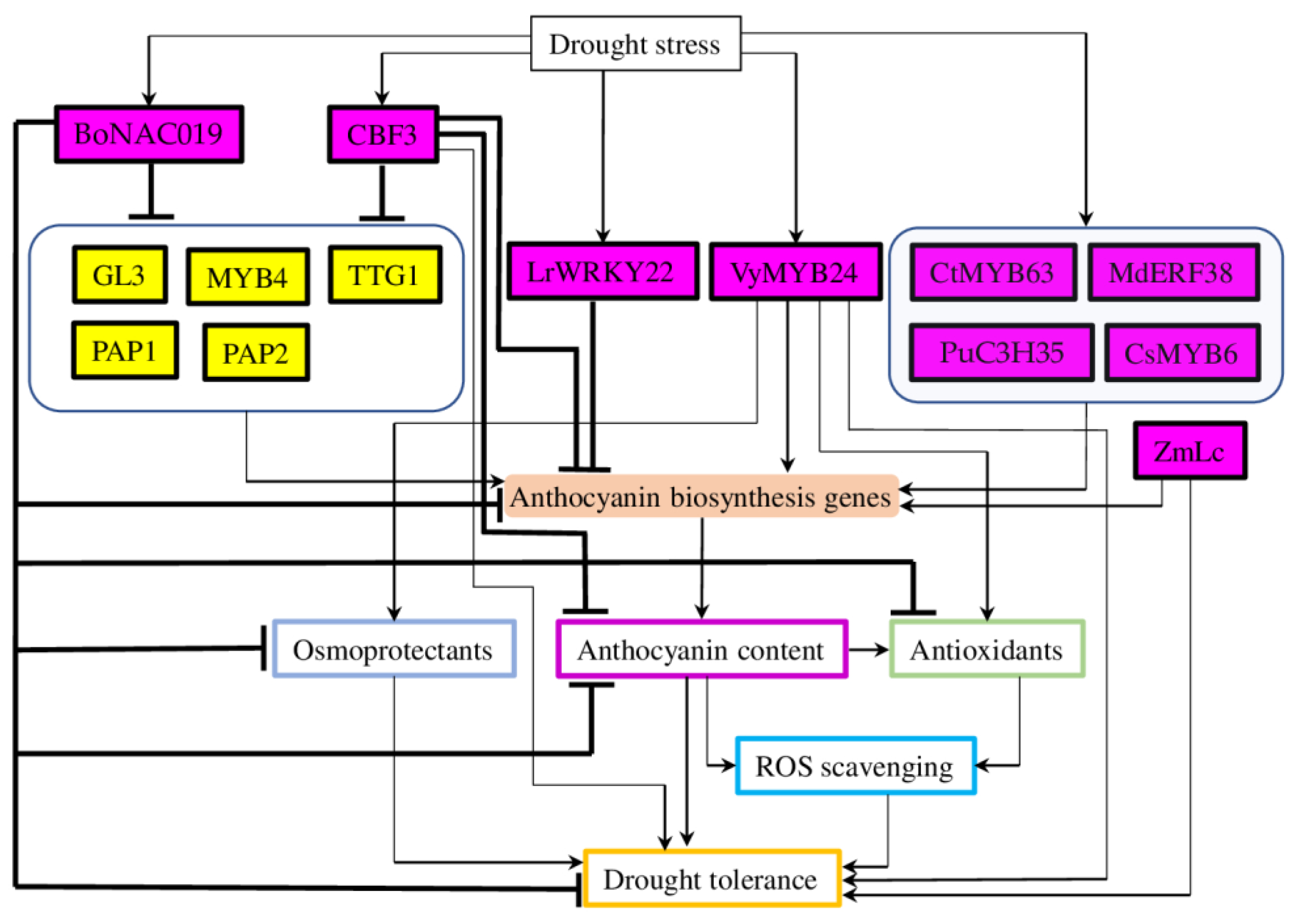 Plants 12 02558 g003 Plants 12 02558 g003