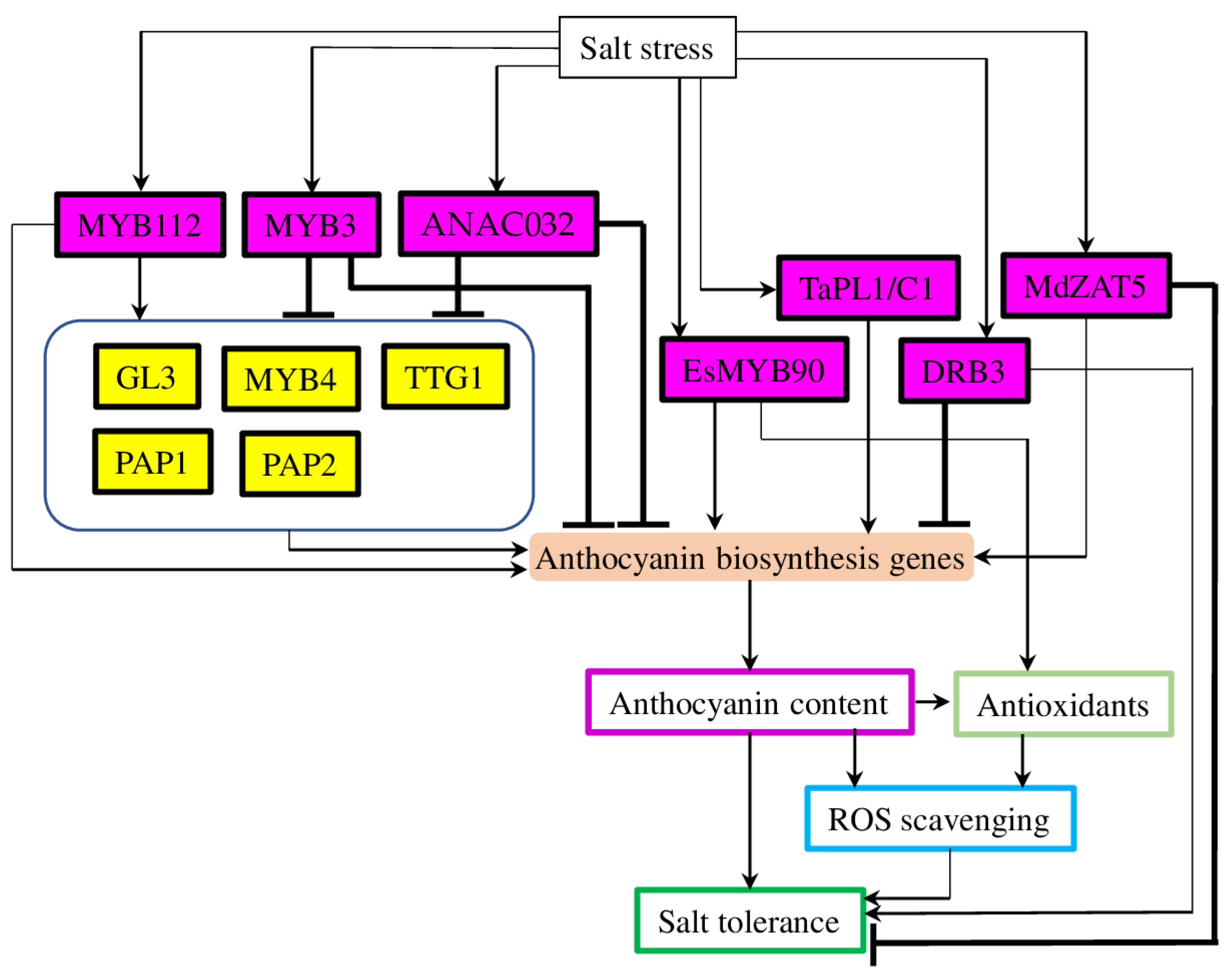 Plants 12 02558 g004 Plants 12 02558 g004