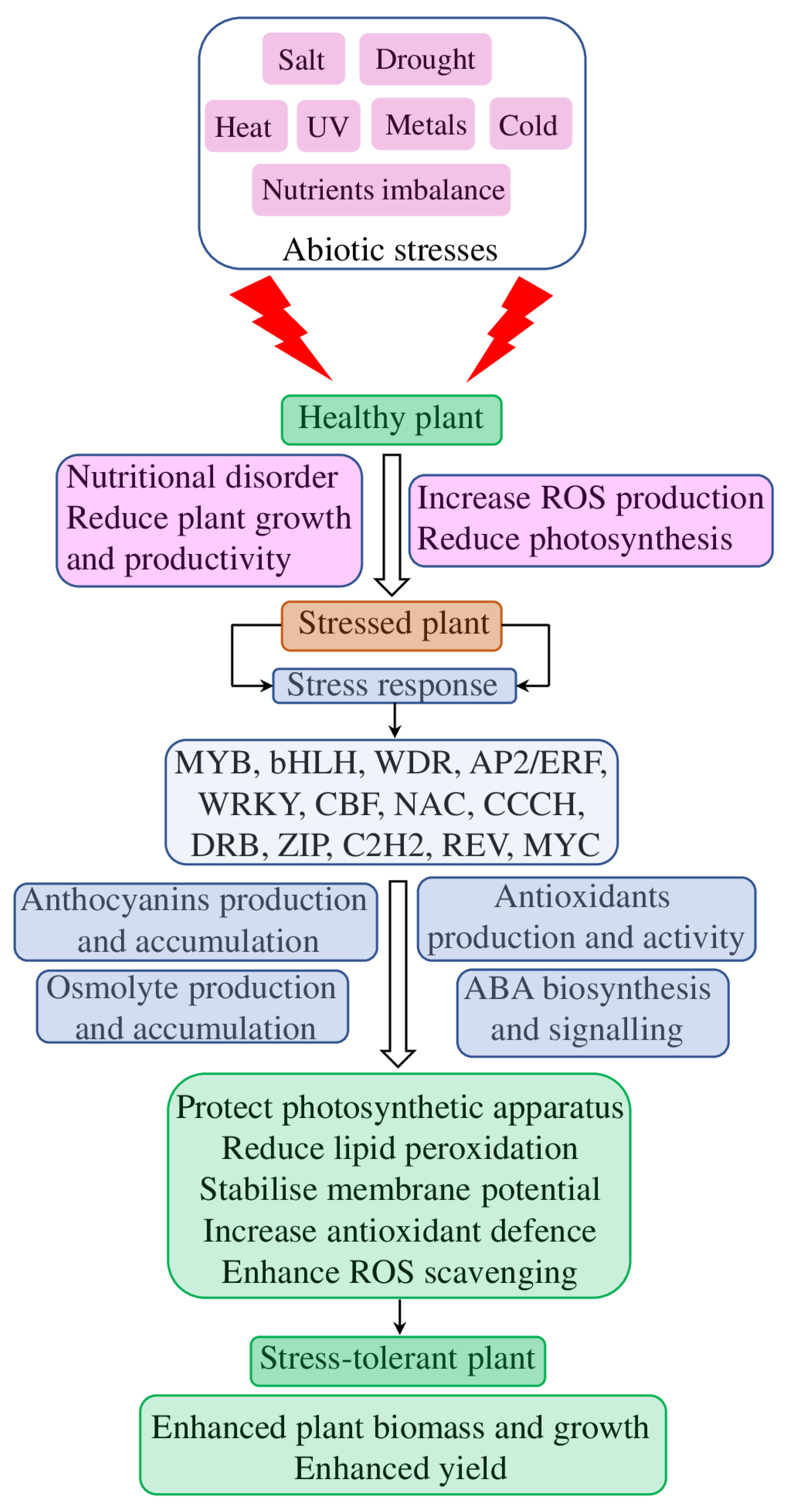 Plants 12 02558 g005 Plants 12 02558 g005