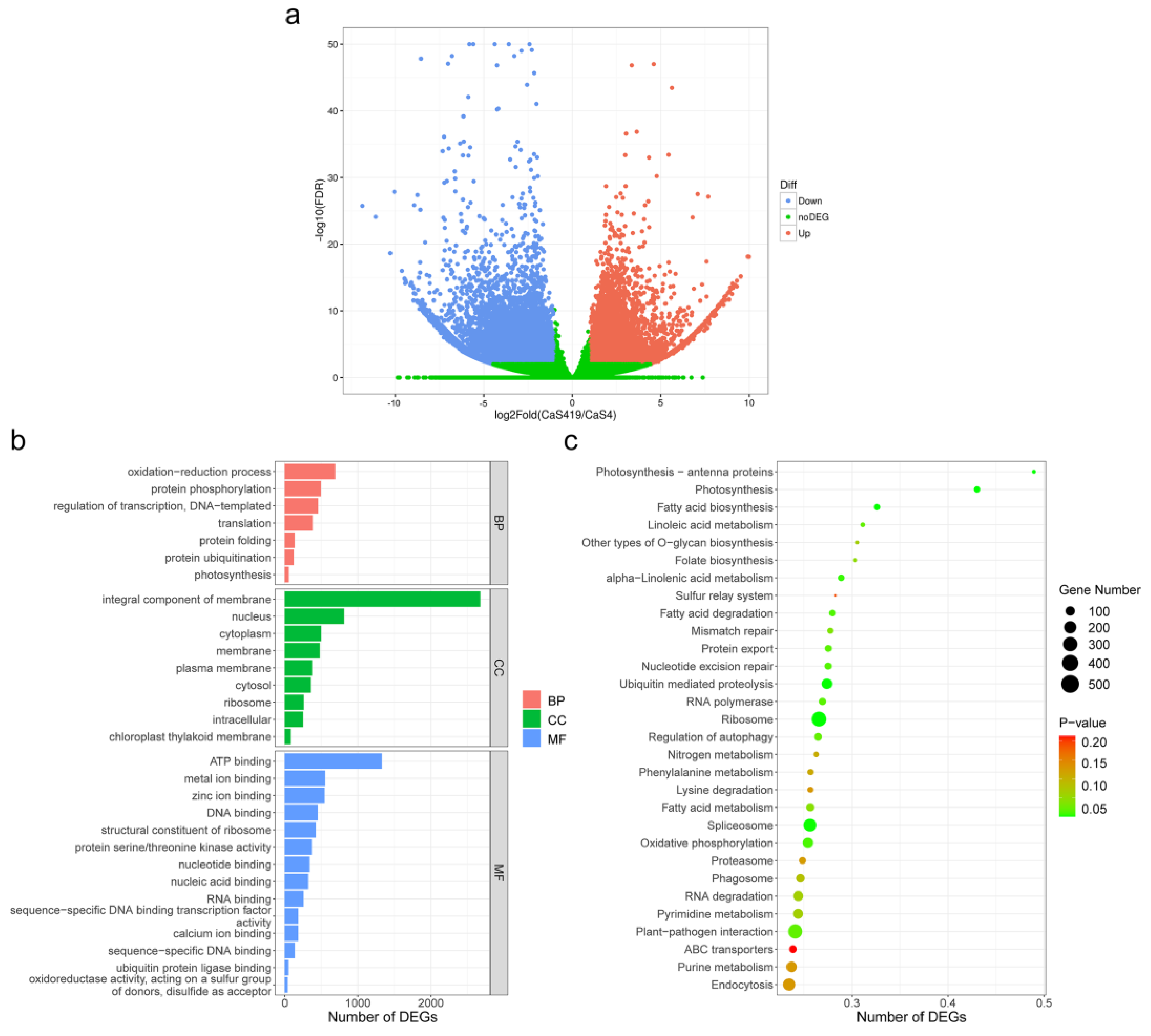 Plants 12 02580 g003