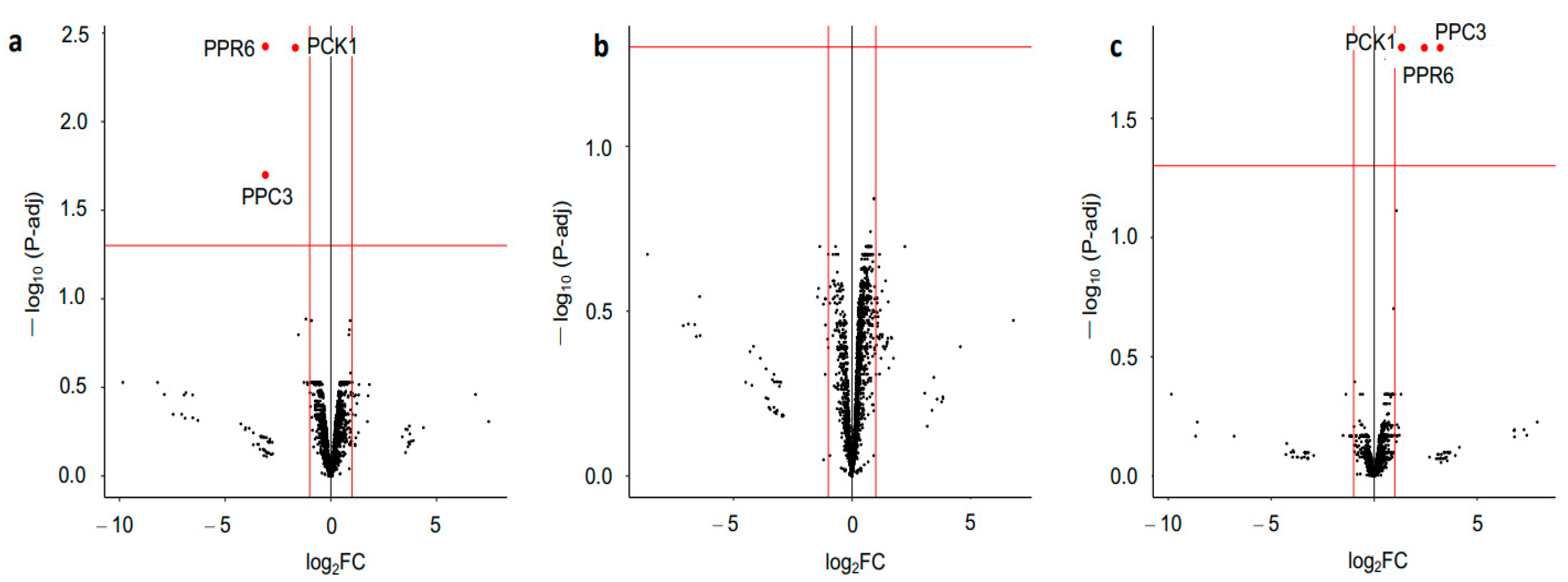 Plants 12 02586 g004 Plants 12 02586 g004