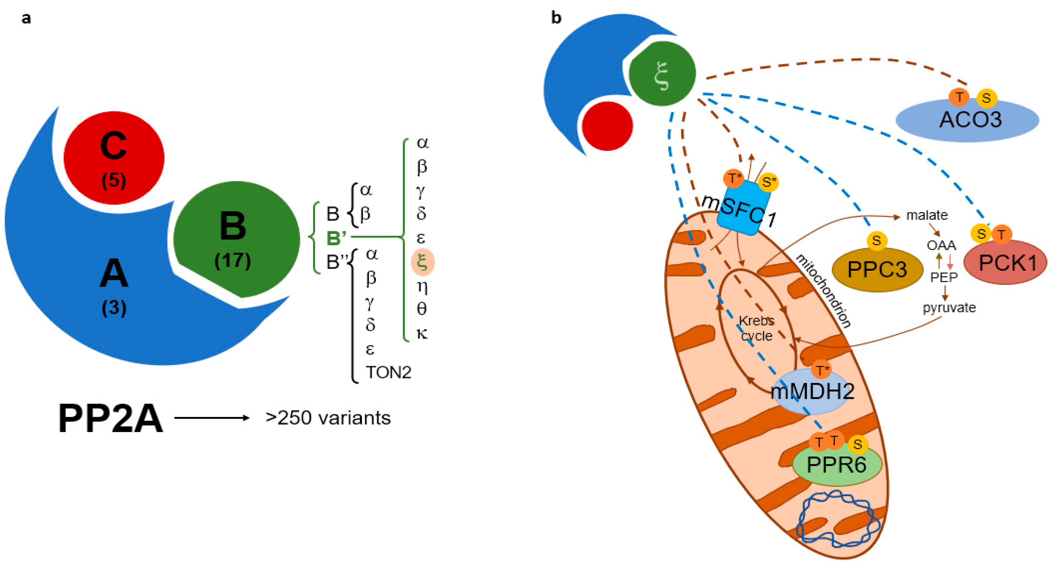 Plants 12 02586 g005 Plants 12 02586 g005