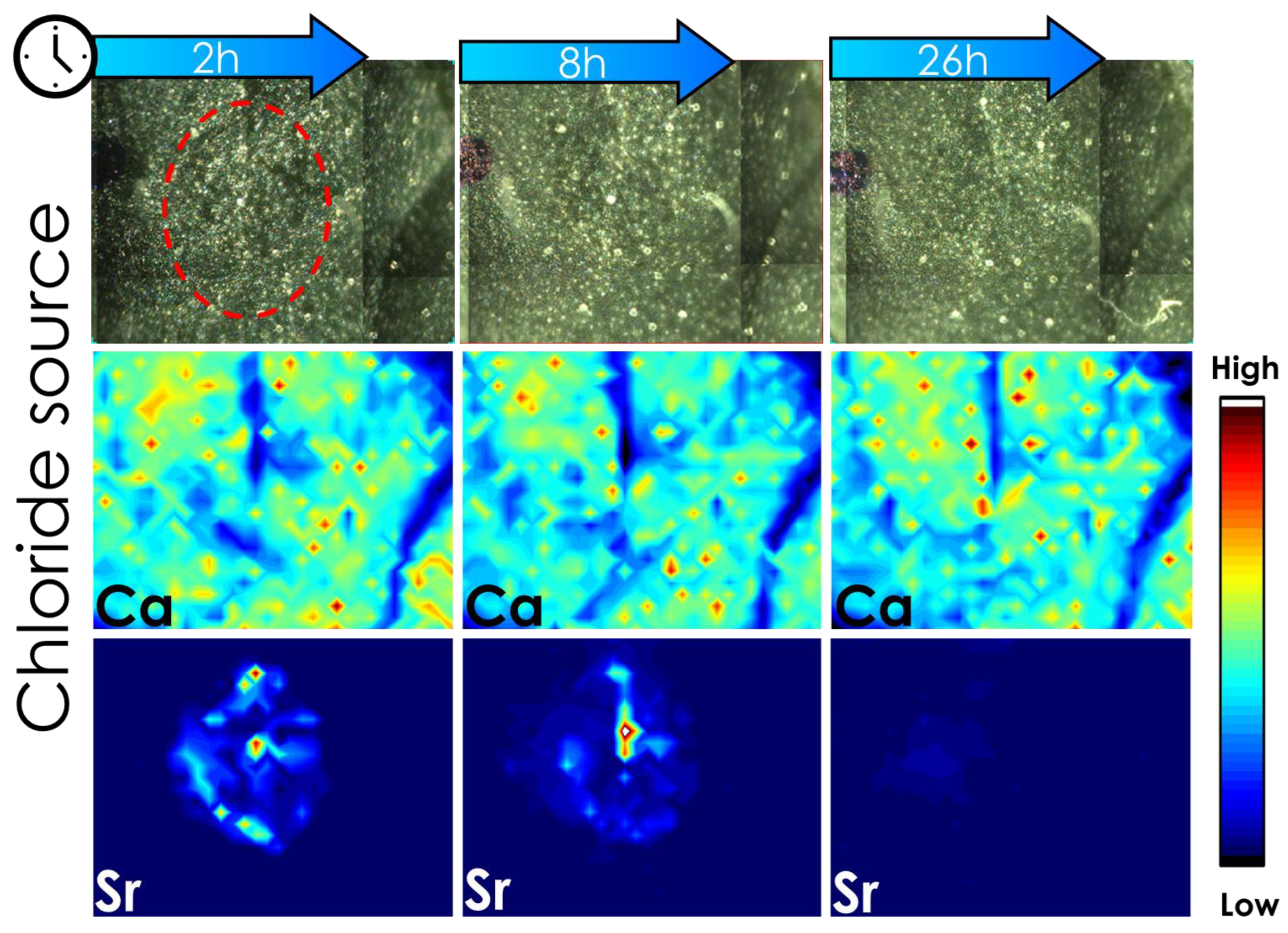 Plants 12 02587 g005 Plants 12 02587 g005