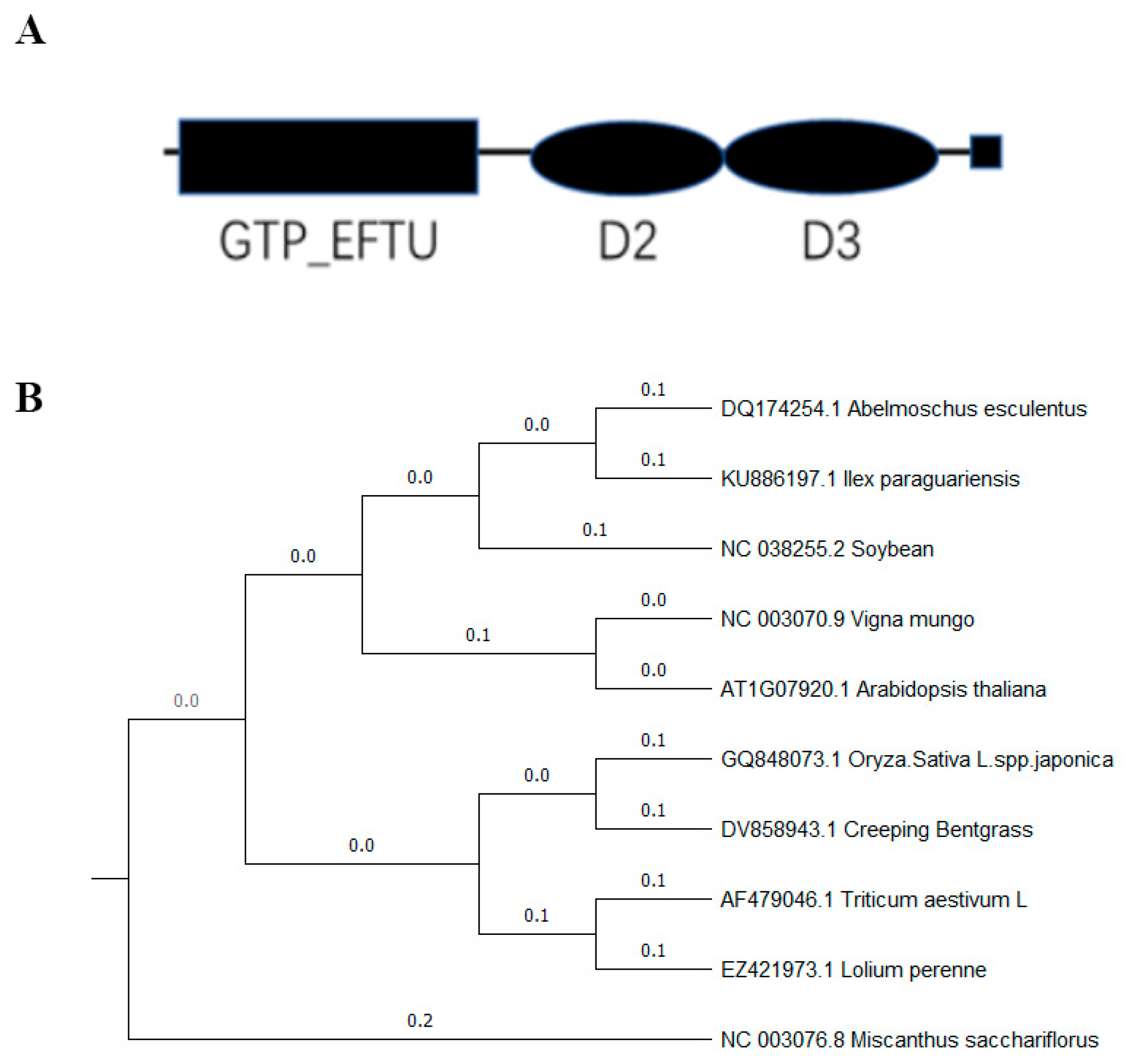 Plants 12 02593 g001