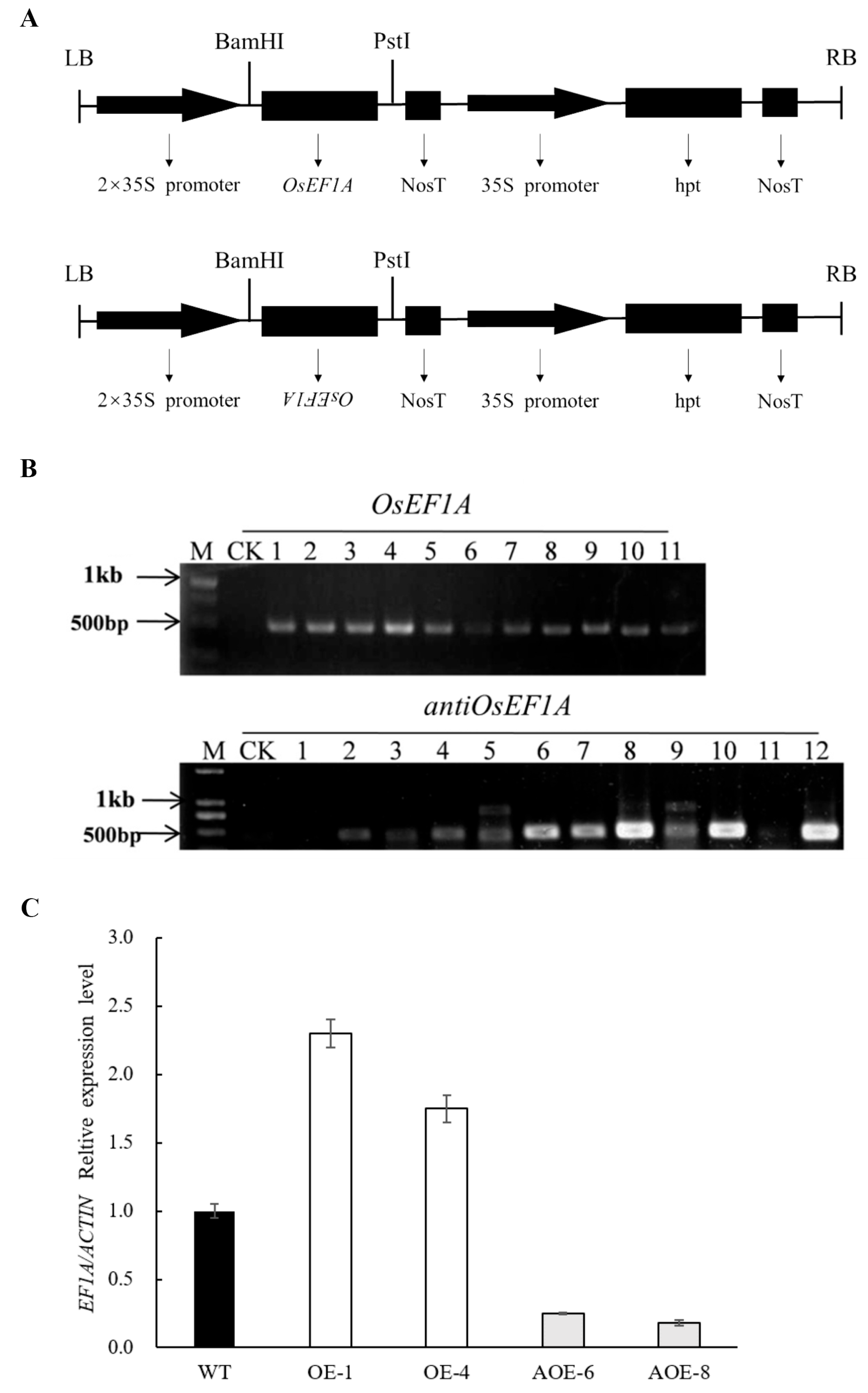 Plants 12 02593 g003