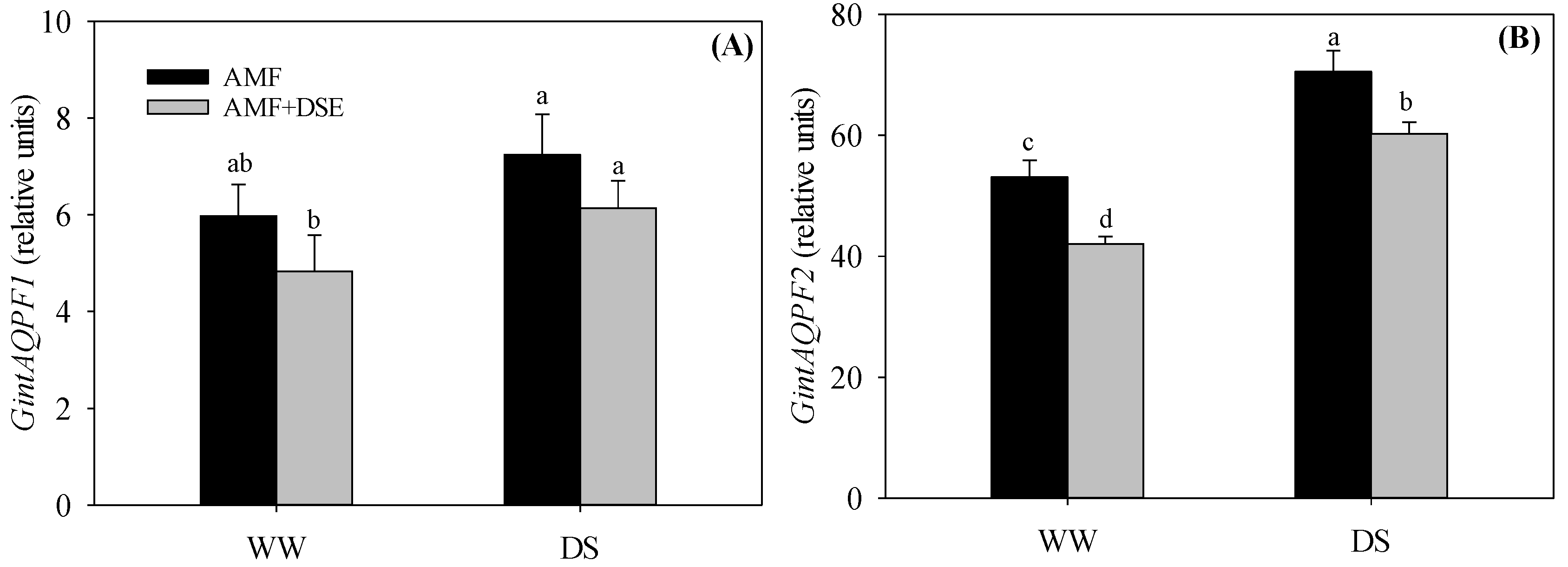 Plants 12 02596 g006