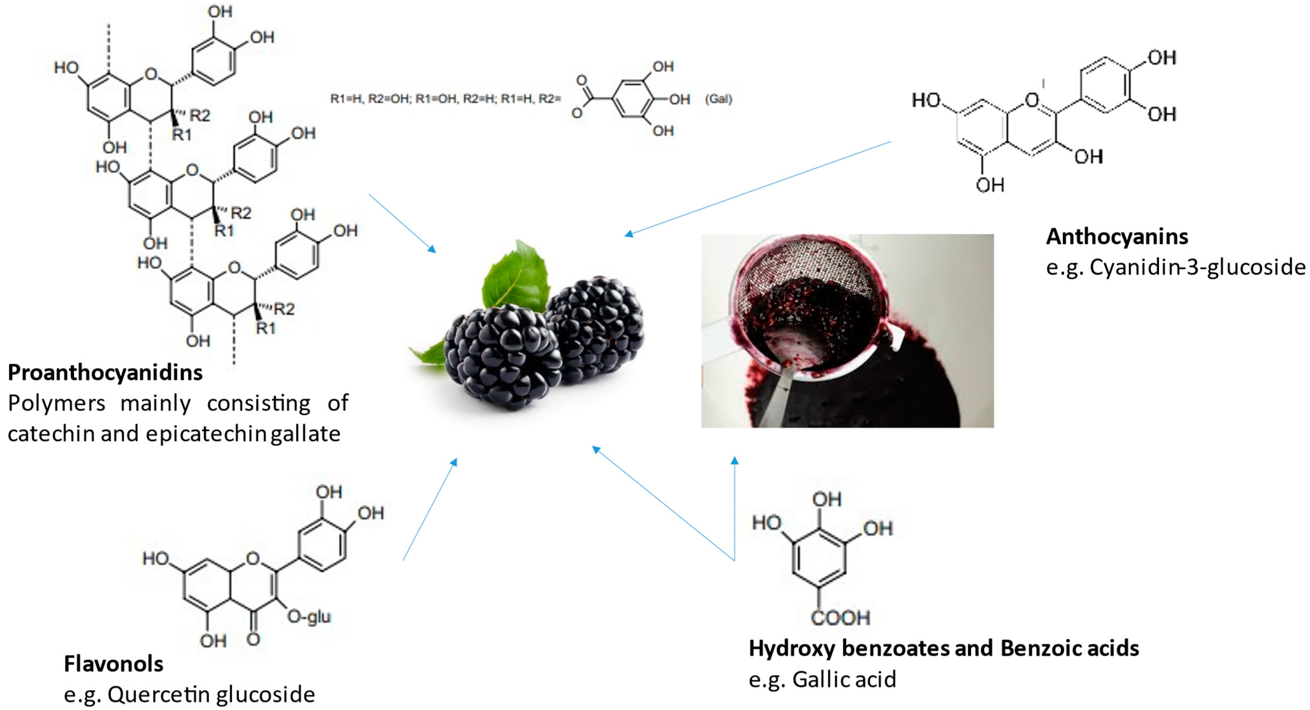 Plants 12 02618 g002