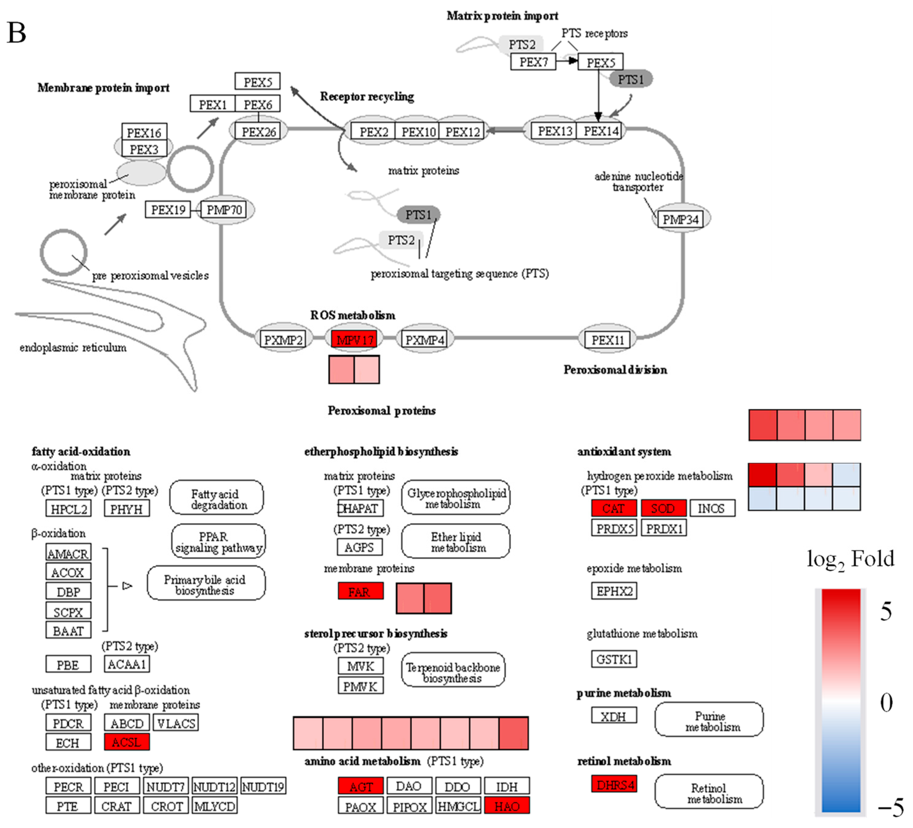 Plants 12 02622 g004b Plants 12 02622 g004b