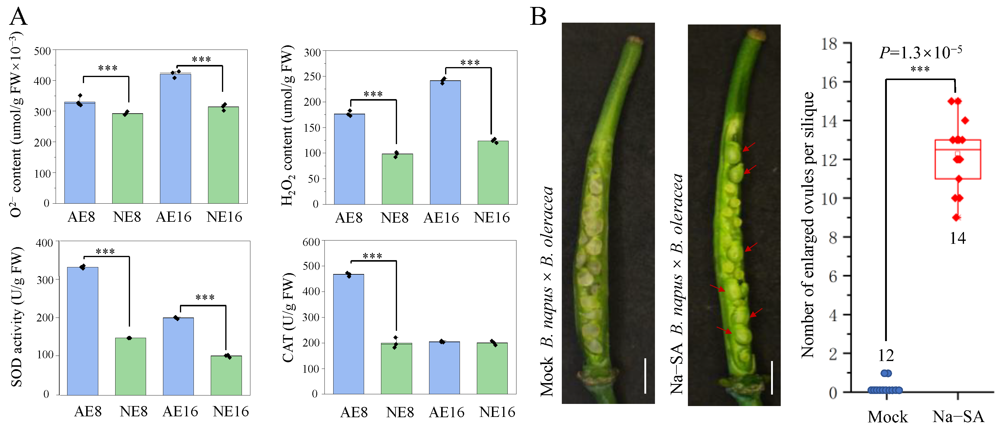 Plants 12 02622 g005 Plants 12 02622 g005