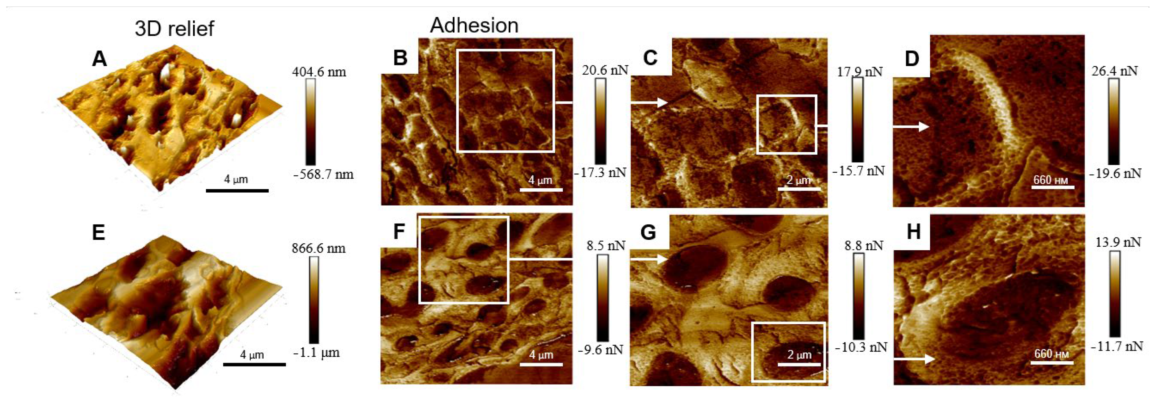 Plants 12 02627 g003 Plants 12 02627 g003
