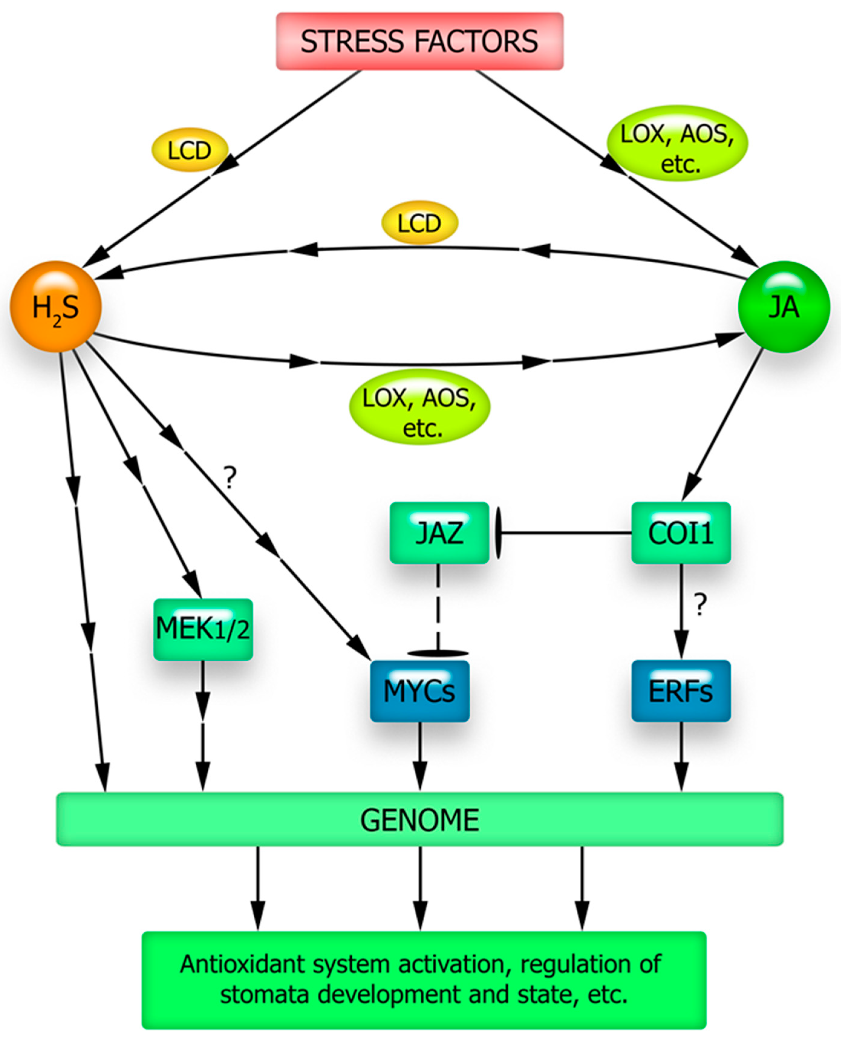 Plants | Free Full-Text | Signal Mediators in the Implementation