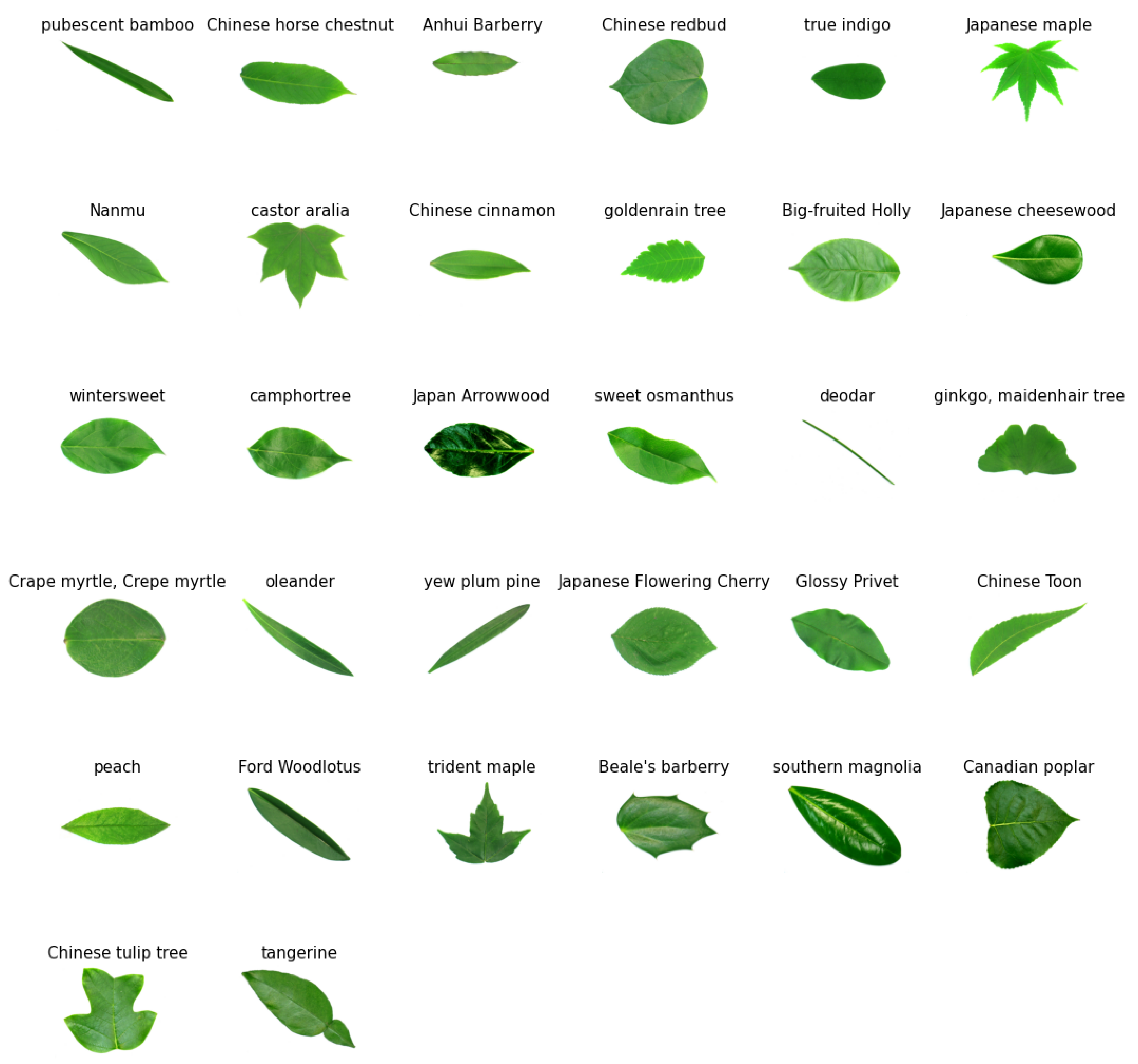 Plants 12 02642 g002 Plants 12 02642 g002