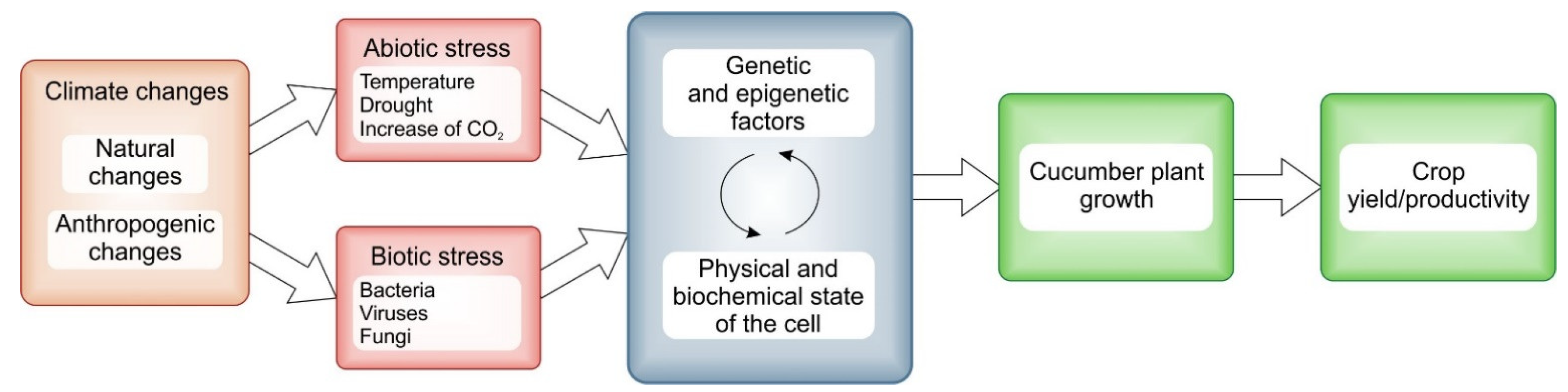 Plants 12 02651 g001 Plants 12 02651 g001