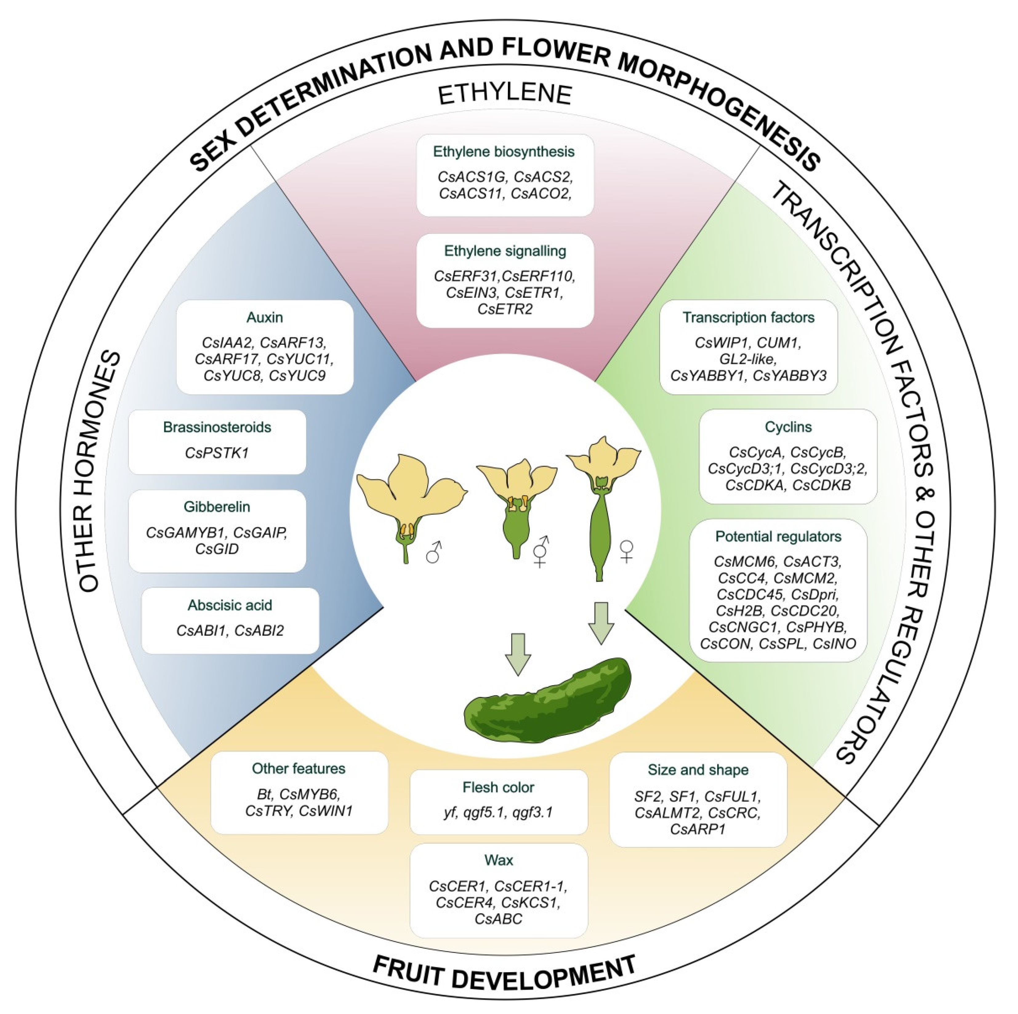 Plants 12 02651 g002 Plants 12 02651 g002