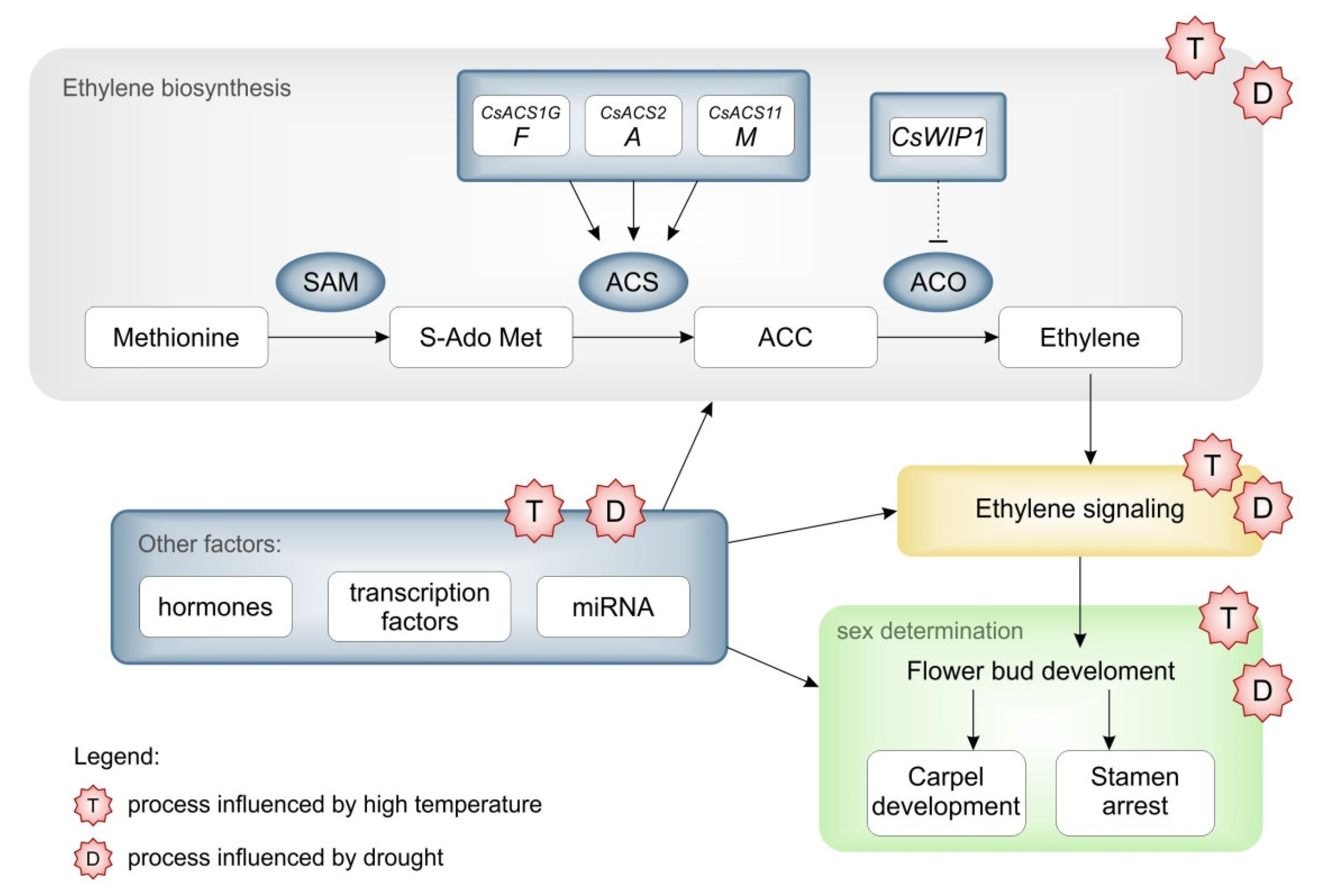 Plants 12 02651 g003 Plants 12 02651 g003