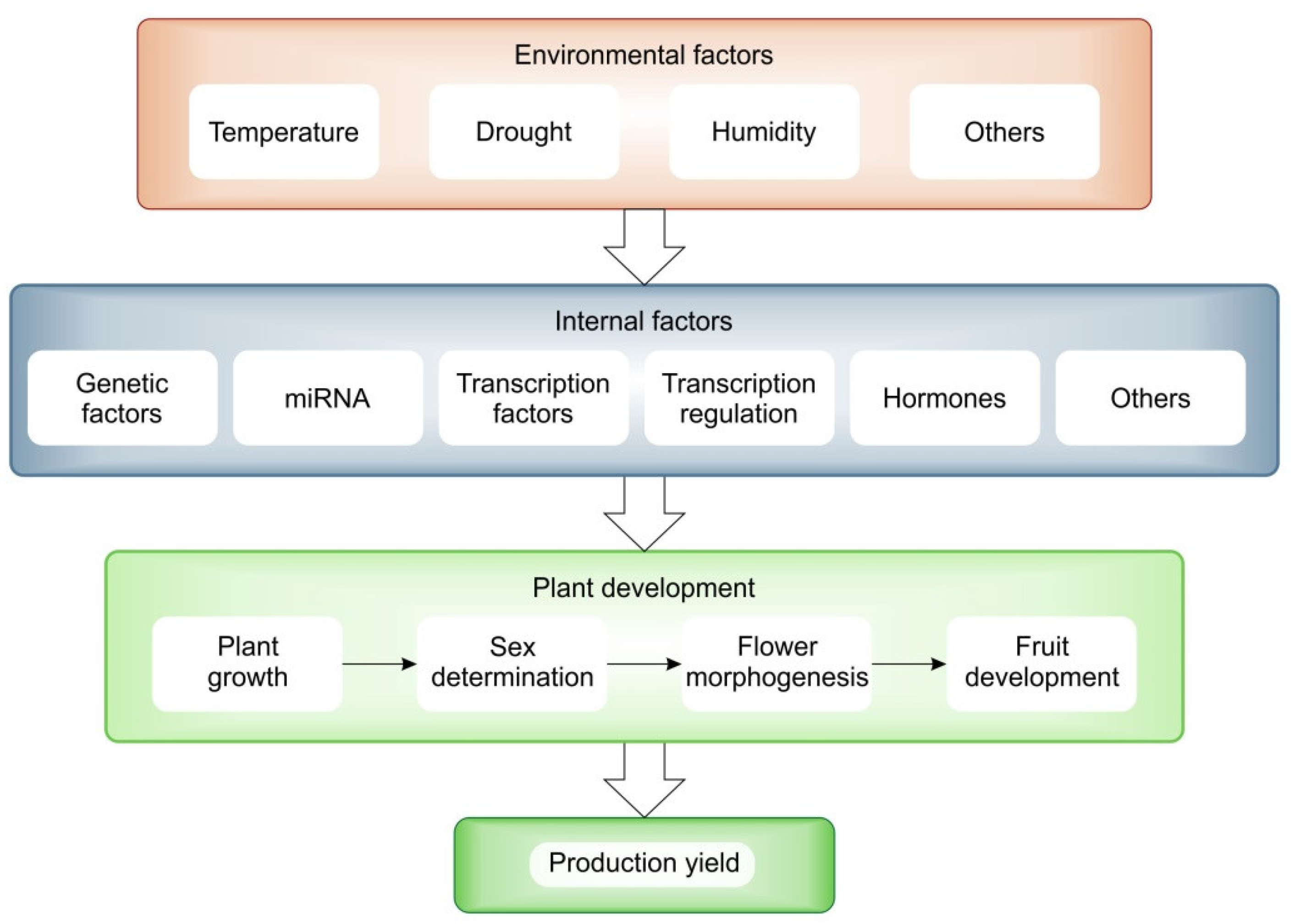 Plants 12 02651 g004 Plants 12 02651 g004