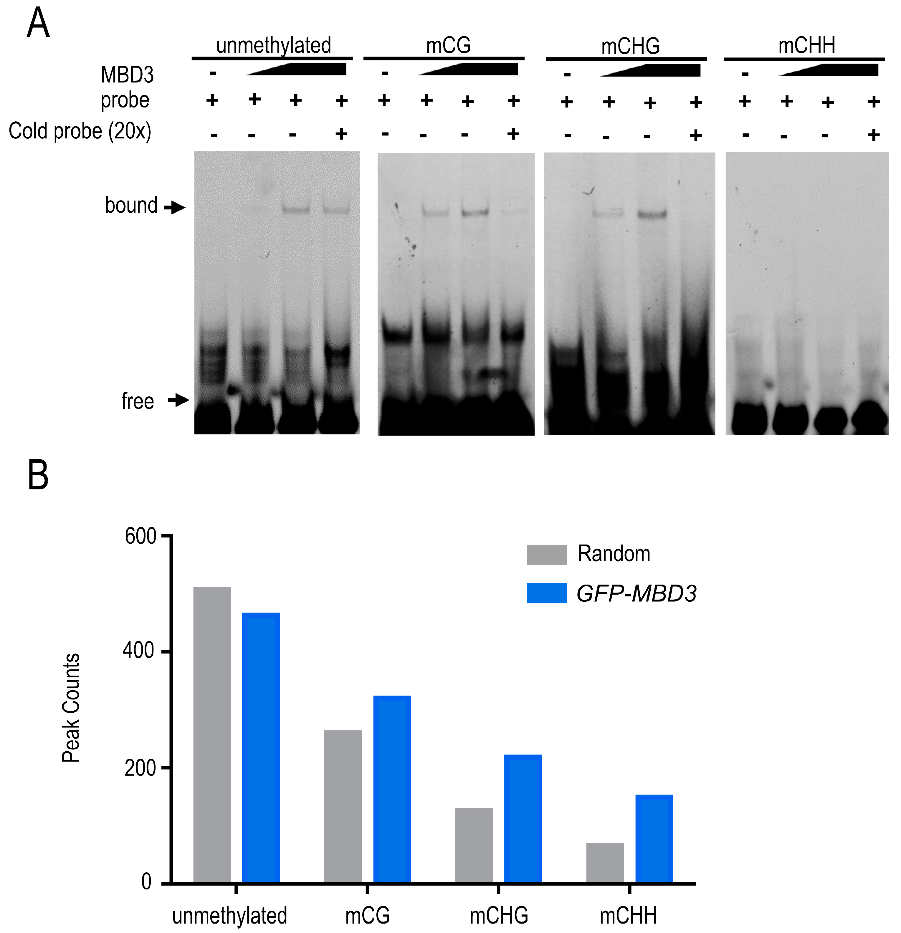 Plants 12 02654 g002