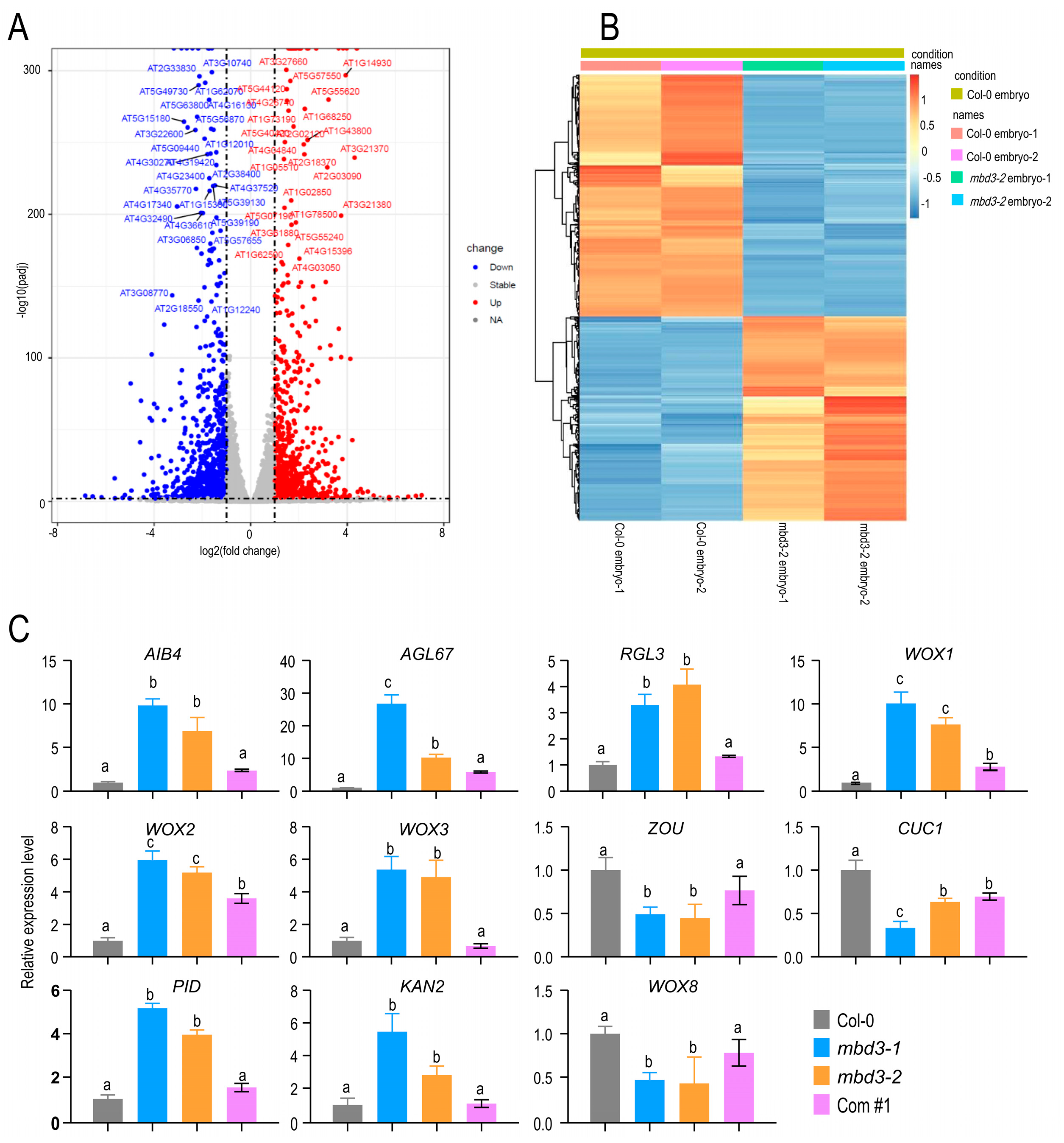 Plants 12 02654 g005