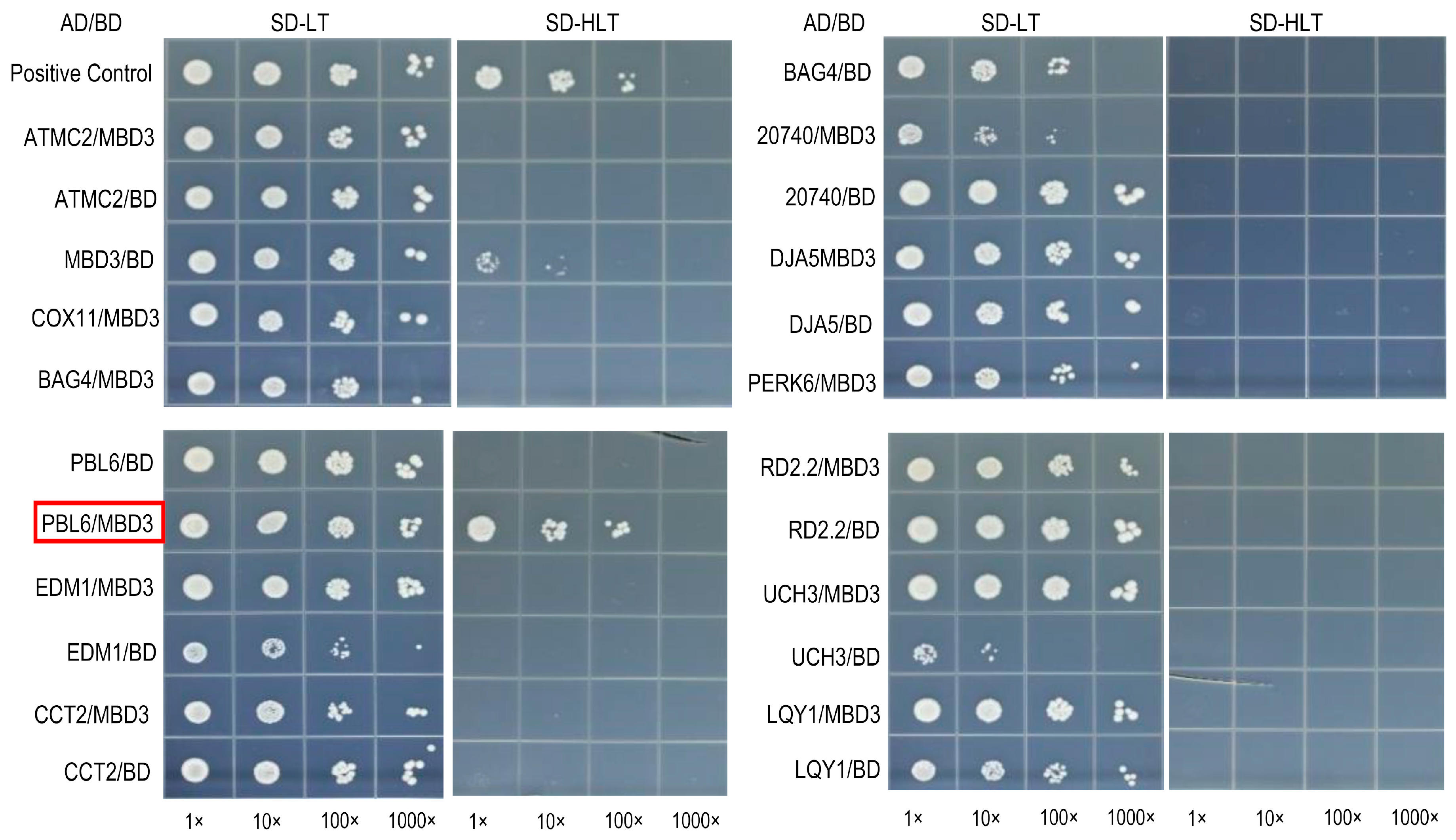 Plants 12 02654 g006