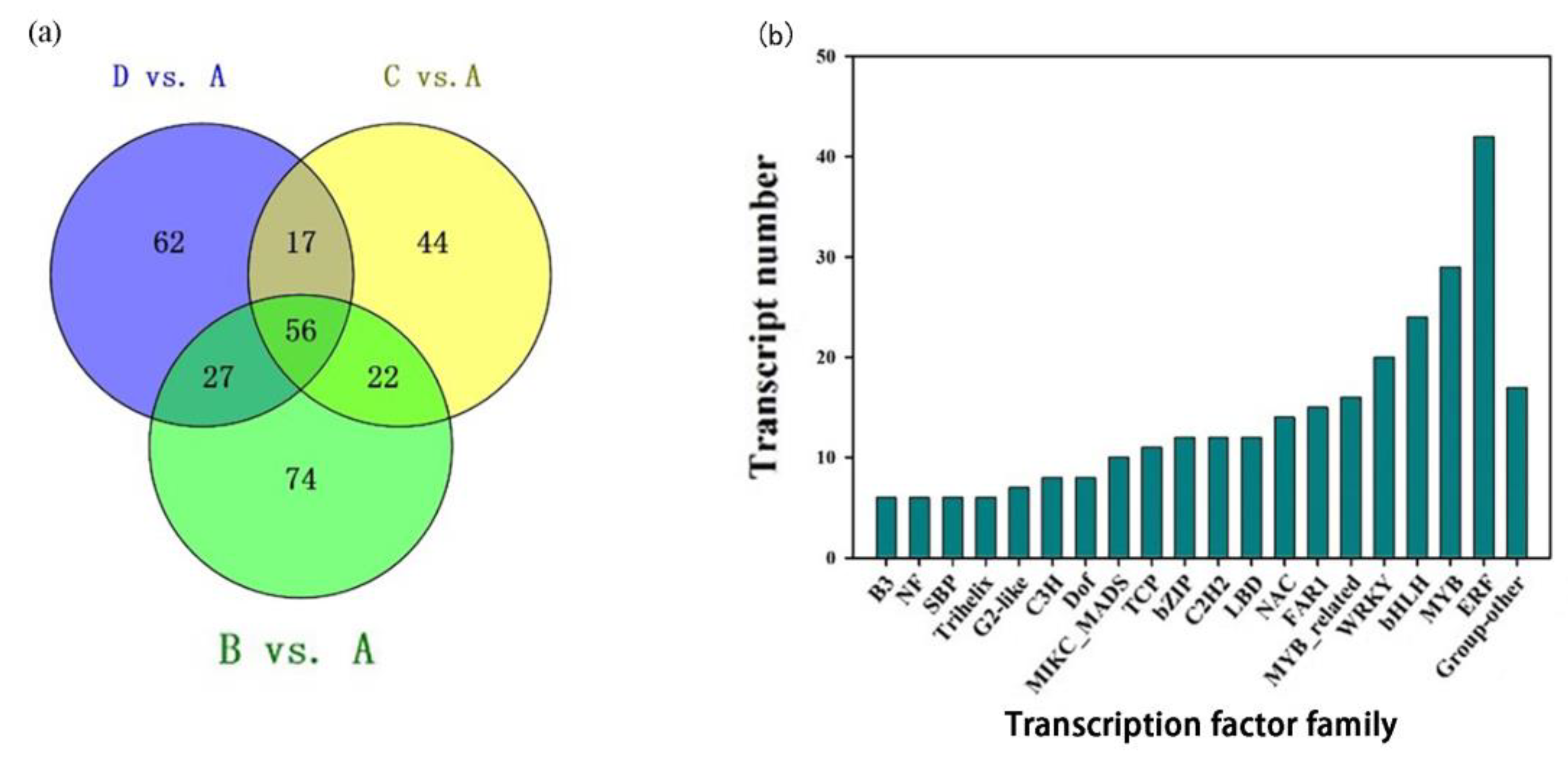Plants 12 02656 g007