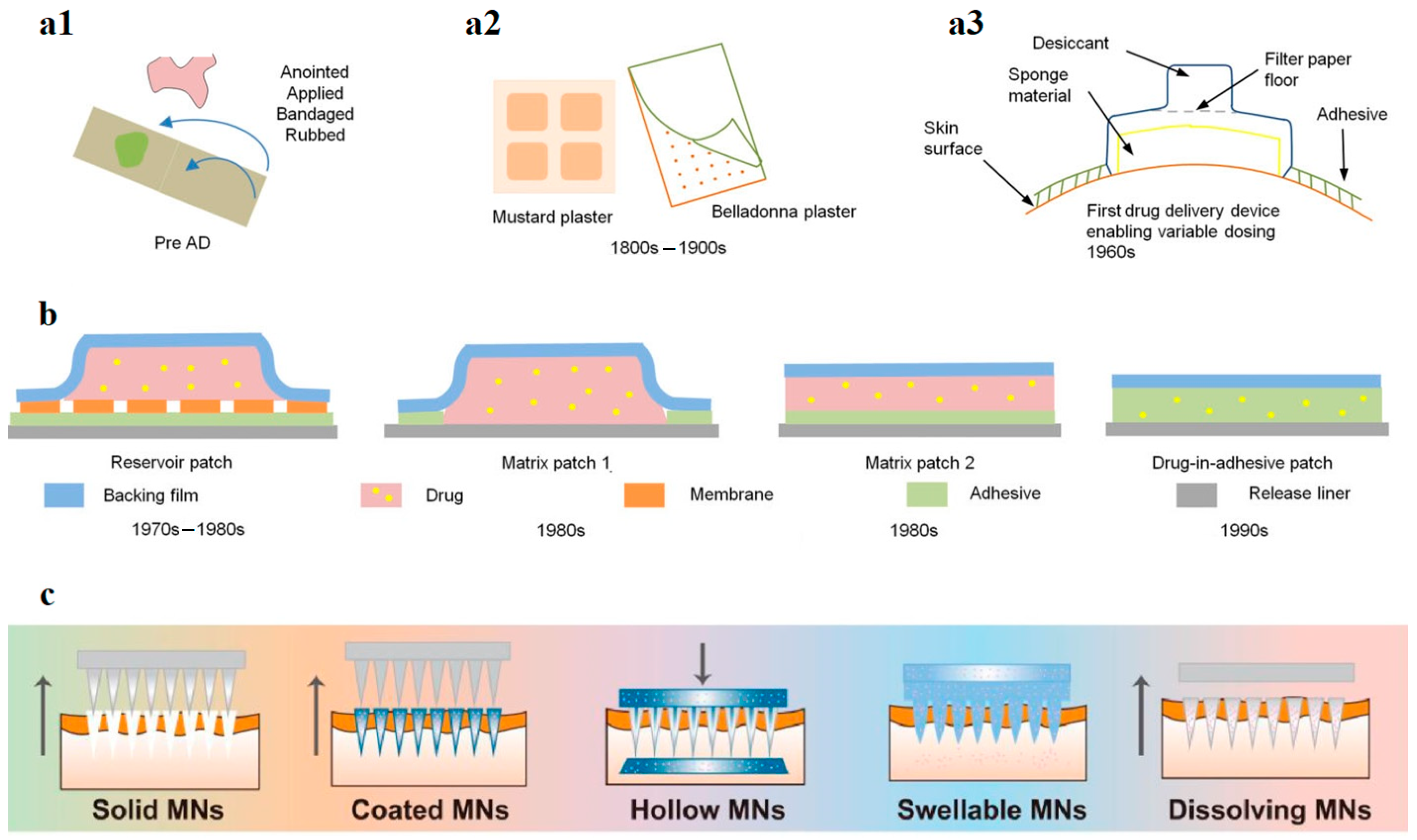 Plants 12 02661 g002 Plants 12 02661 g002