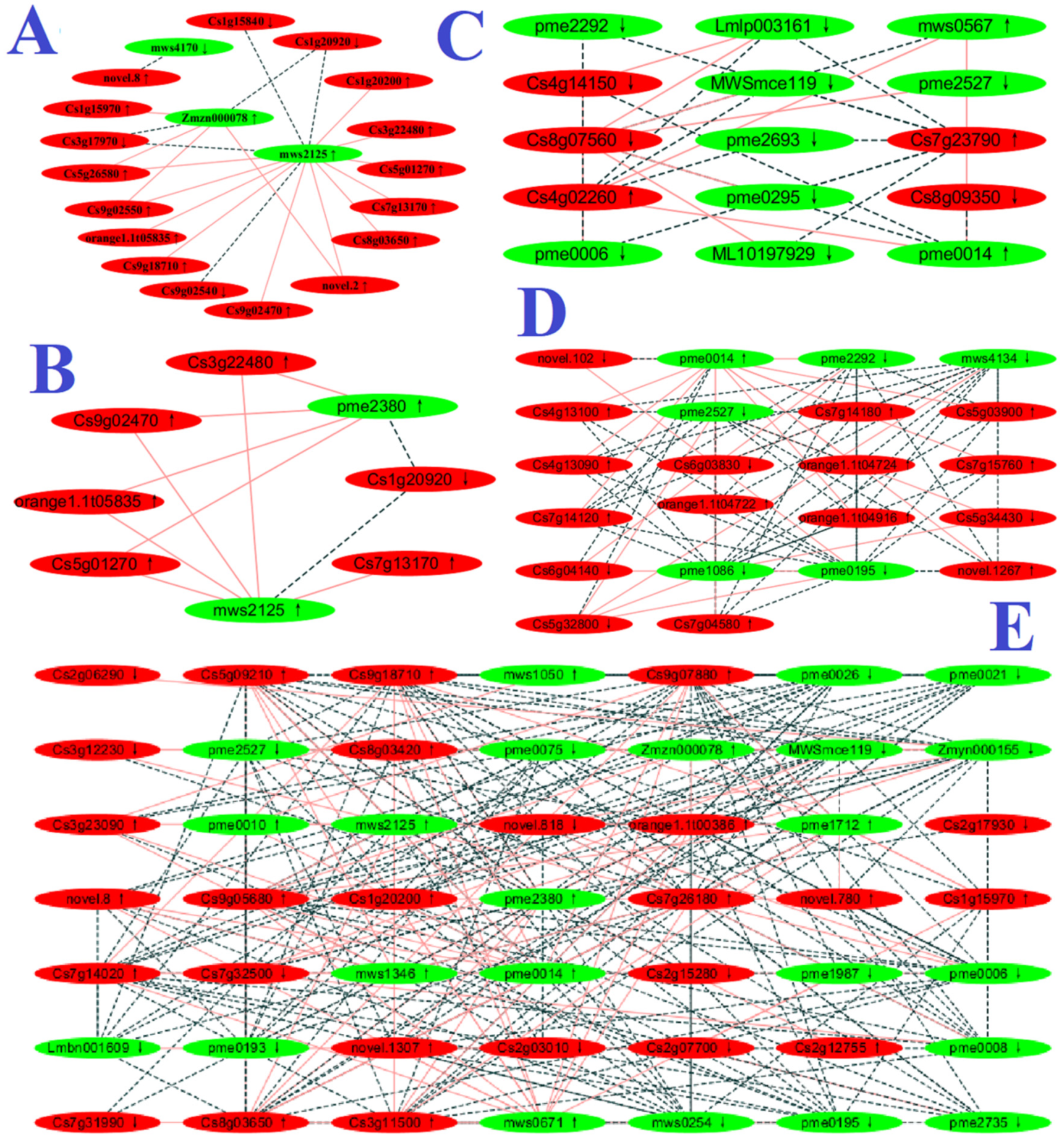 Plants 12 02680 g004