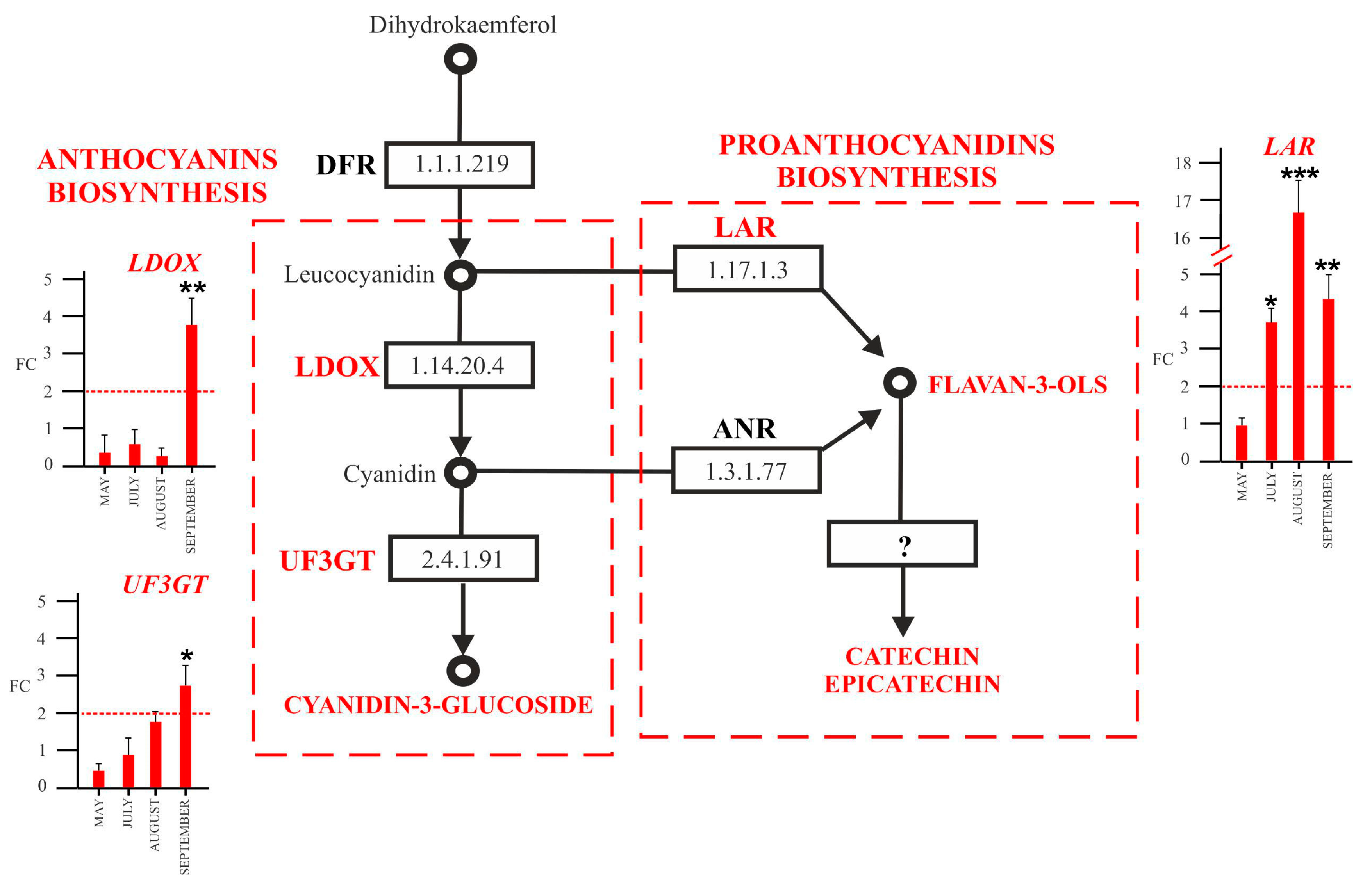 Plants 12 02695 g008