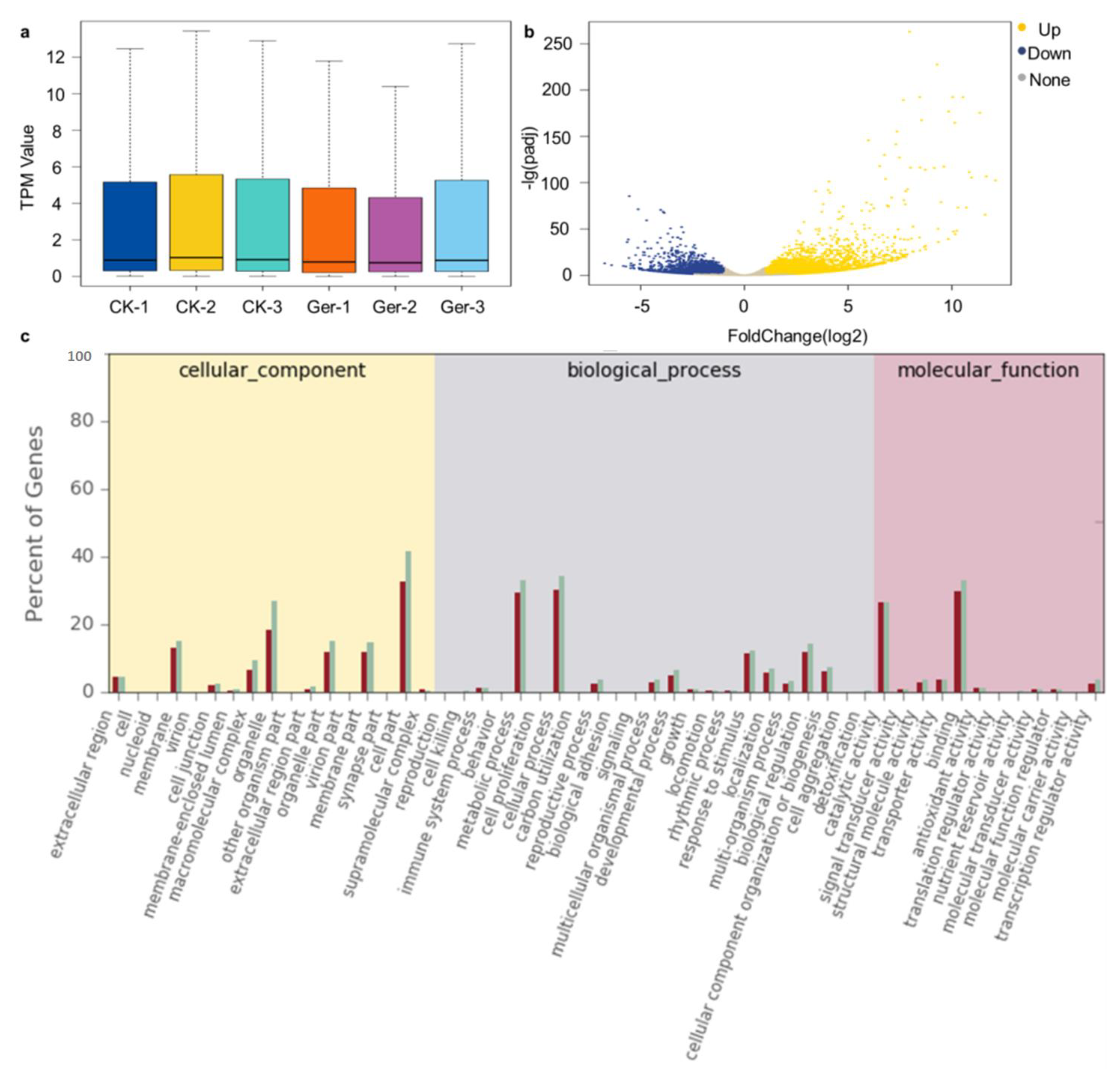 Plants 12 02700 g001 Plants 12 02700 g001