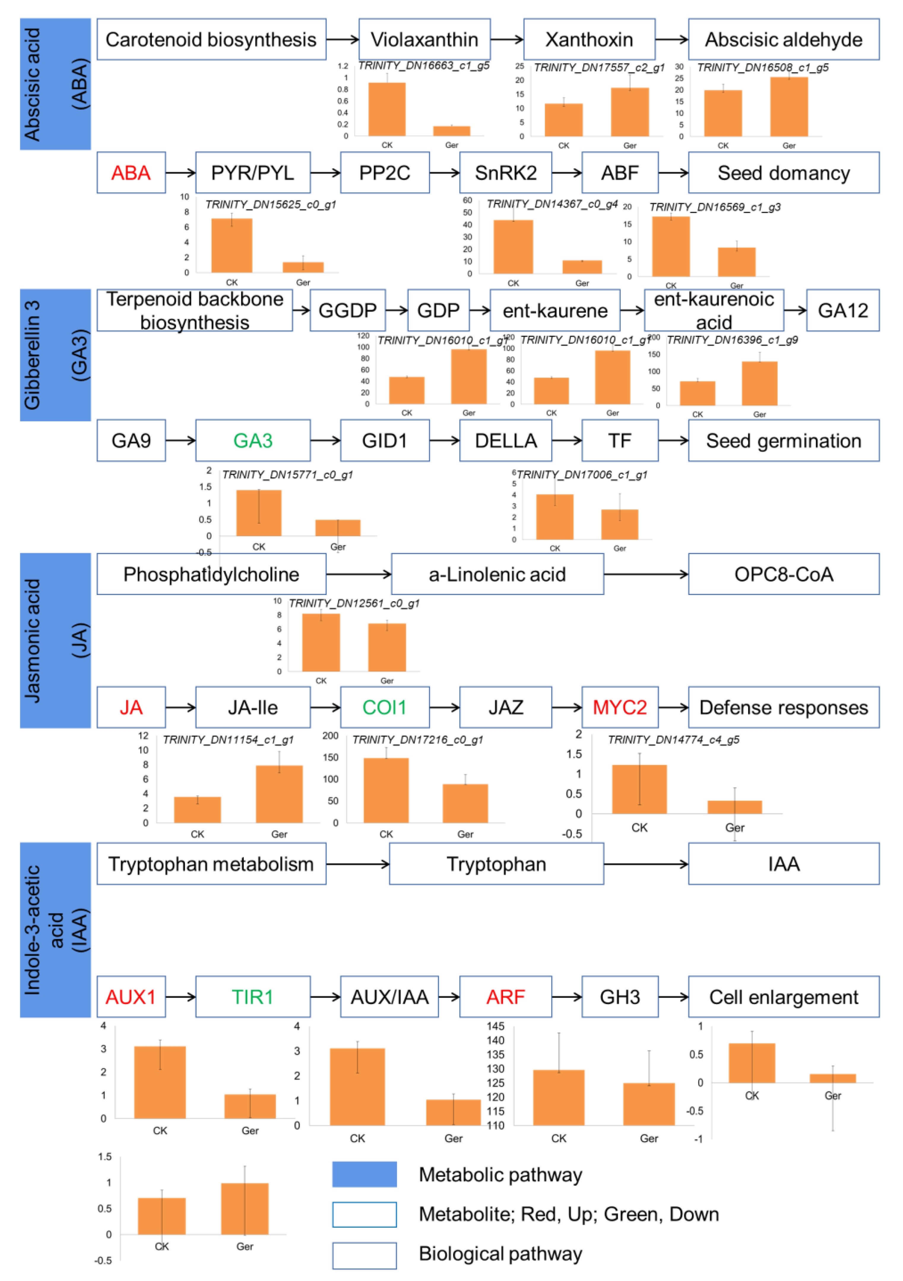 Plants 12 02700 g005 Plants 12 02700 g005